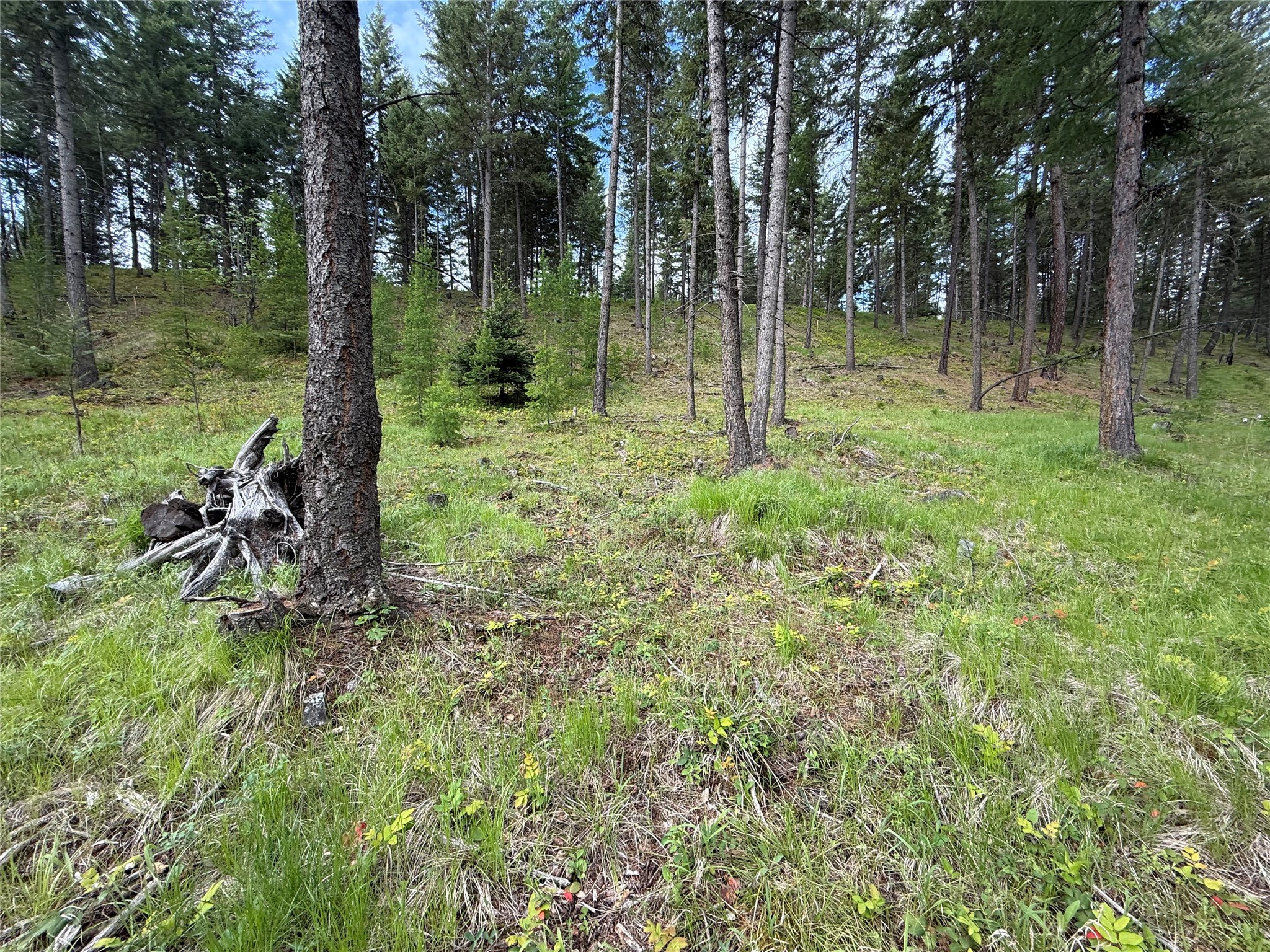 Parcel A Kootenai Drive Property Photo 10