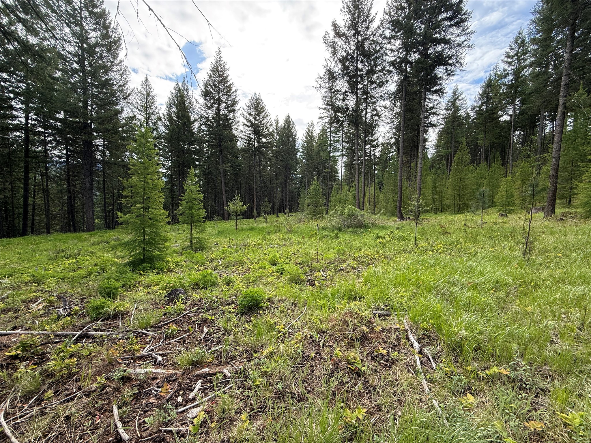 Parcel A Kootenai Drive Property Photo 11