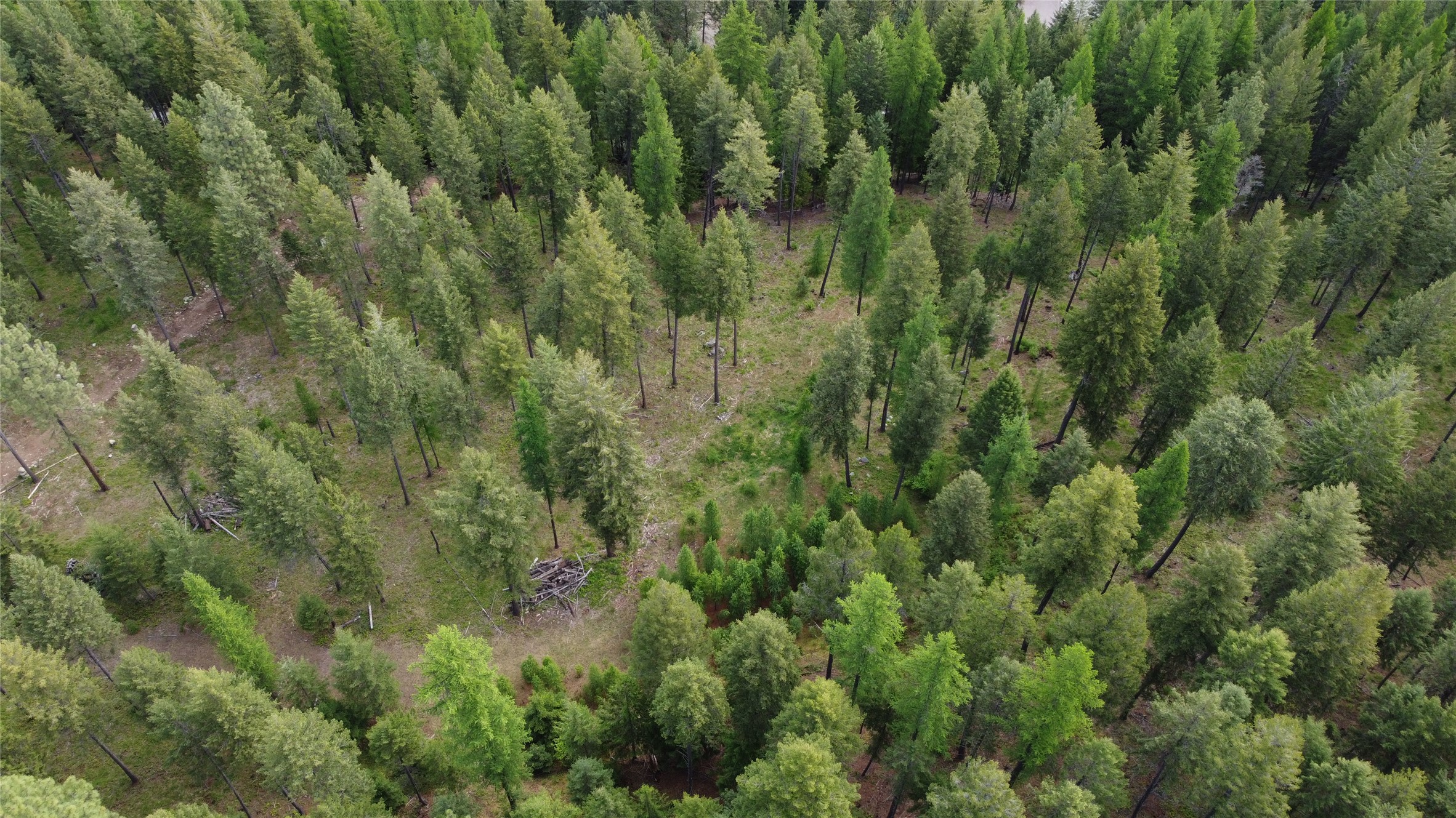 Parcel A Kootenai Drive Property Photo 13