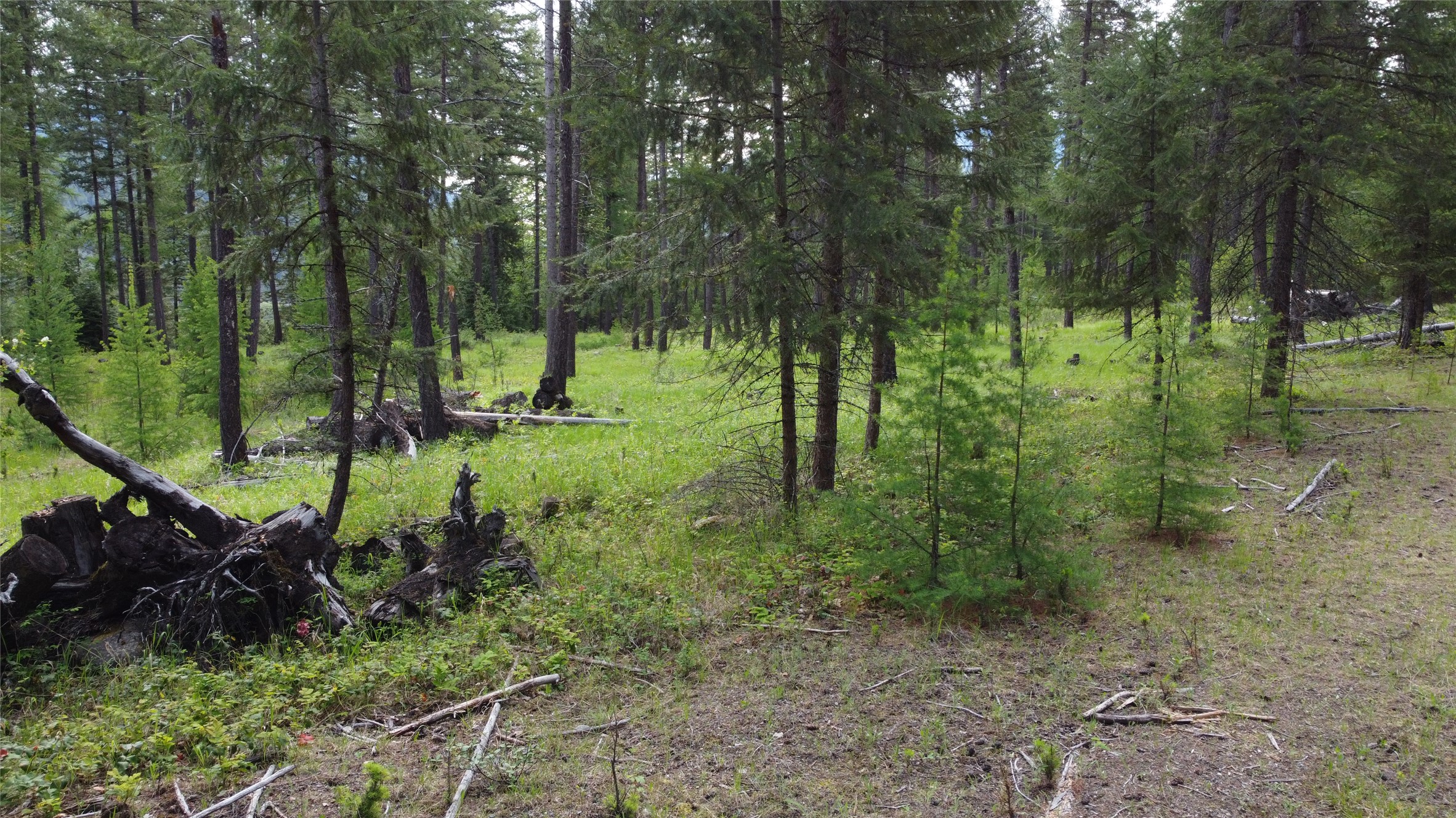 Parcel A Kootenai Drive Property Photo 17