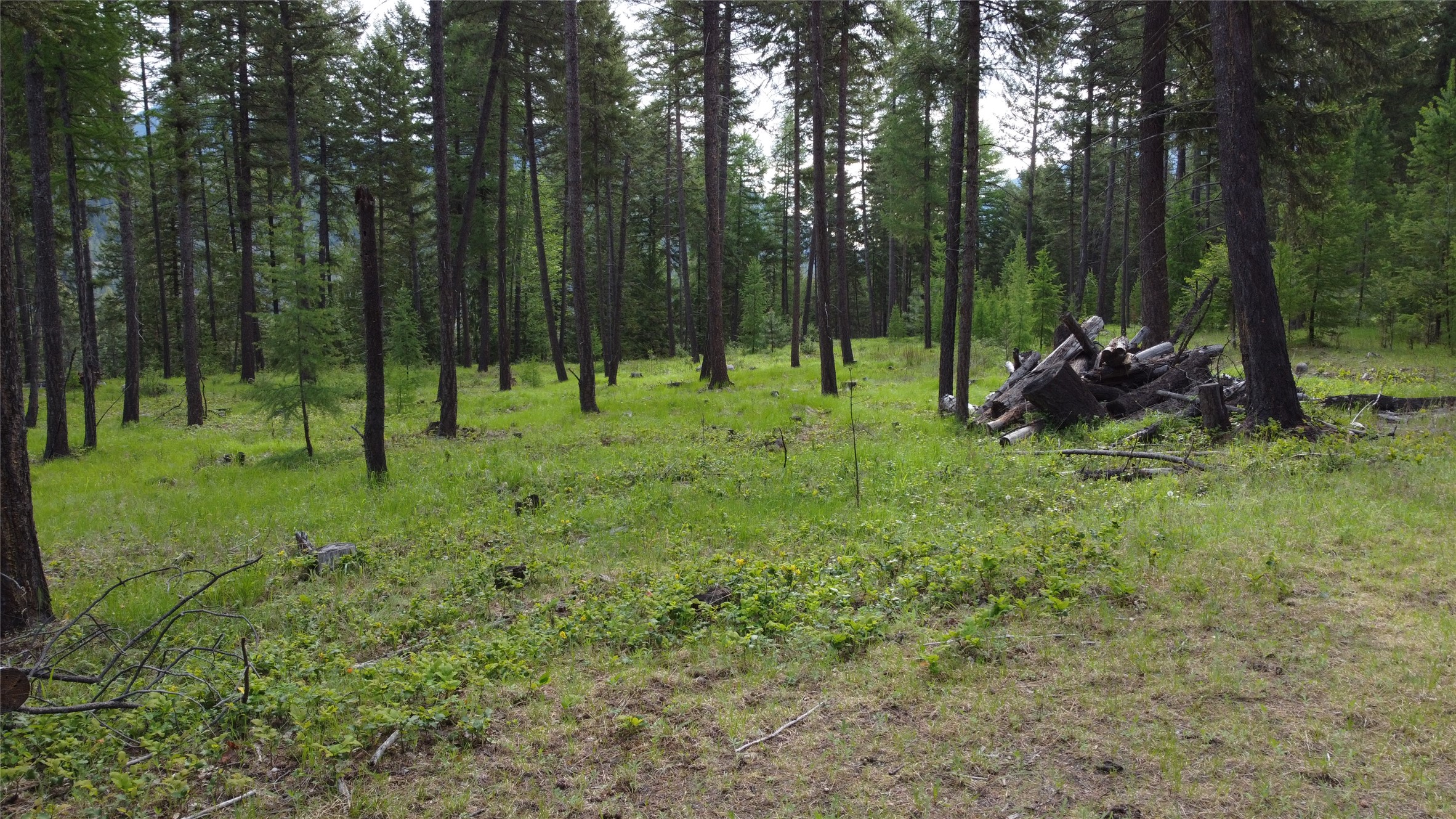 Parcel A Kootenai Drive Property Photo 18