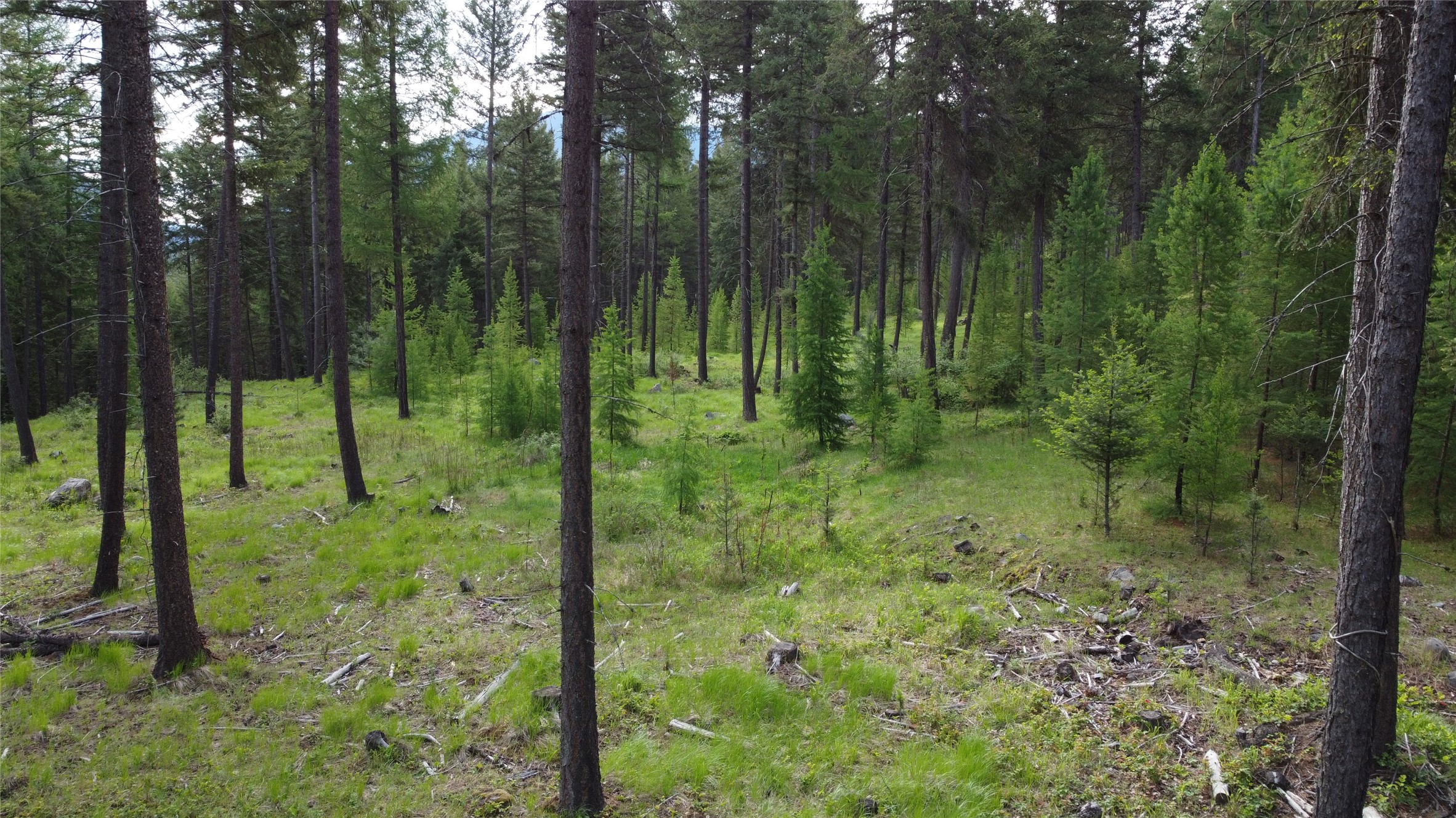 Parcel A Kootenai Drive Property Photo 19