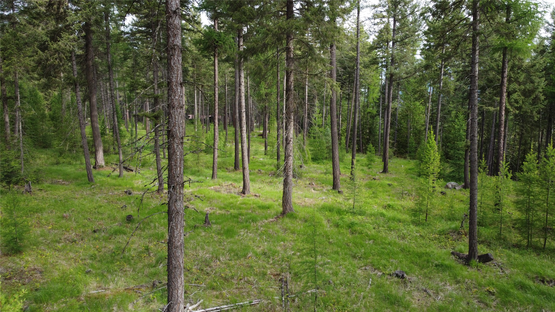 Parcel A Kootenai Drive Property Photo 20