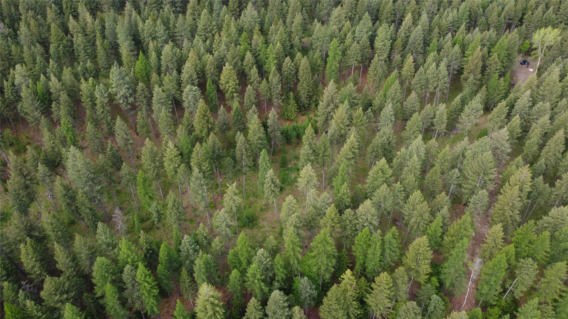 Parcel A Kootenai Drive Property Photo 25
