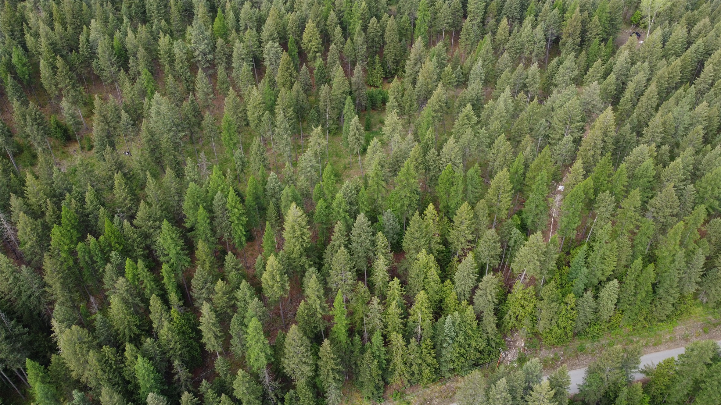 Parcel A Kootenai Drive Property Photo 26