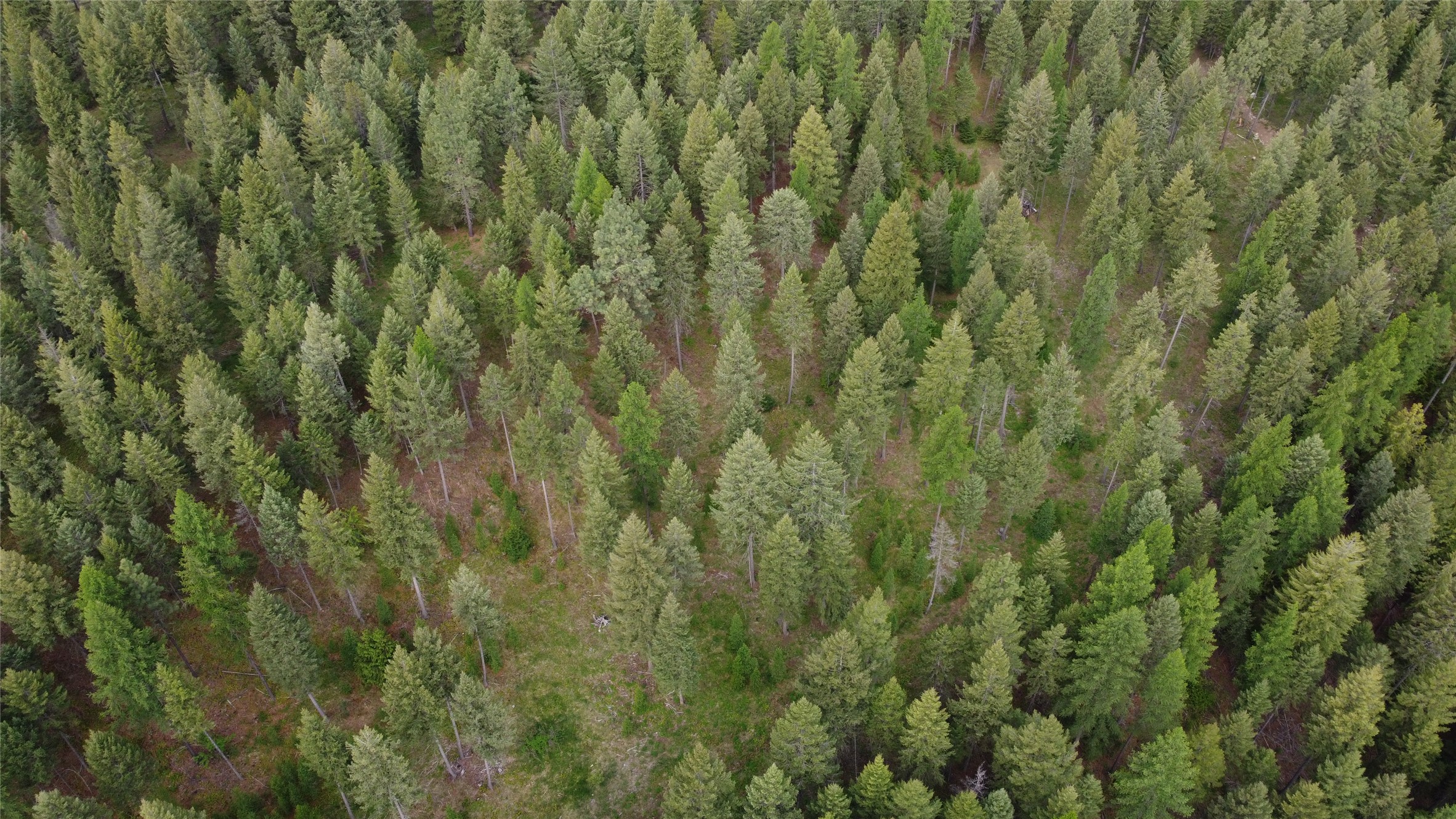 Parcel A Kootenai Drive Property Photo 28