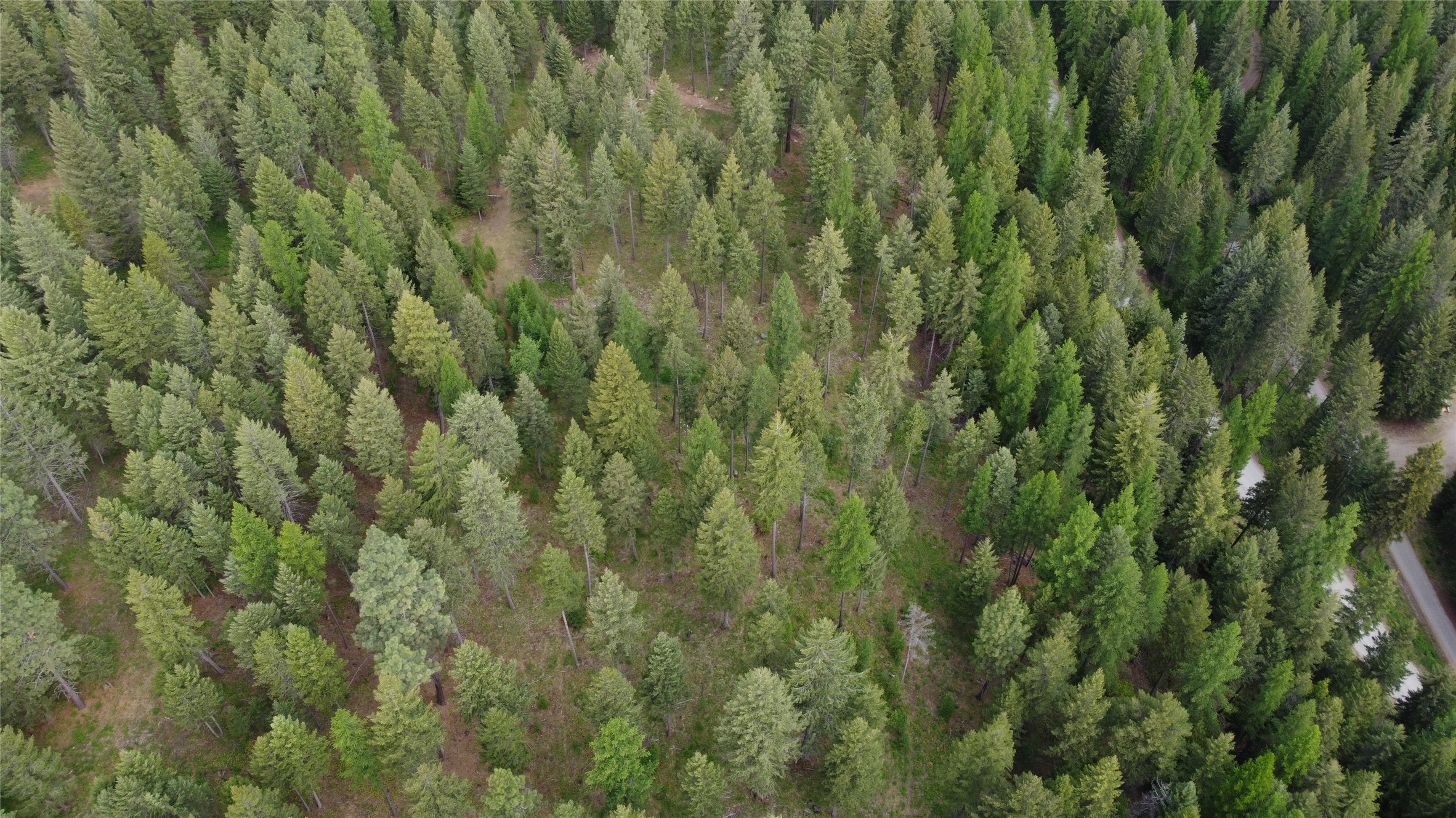 Parcel A Kootenai Drive Property Photo 30