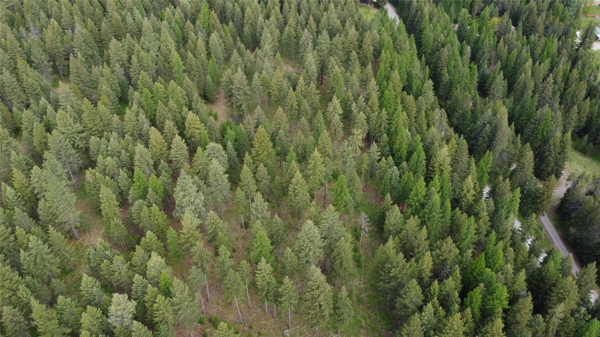 Parcel A Kootenai Drive Property Photo 31