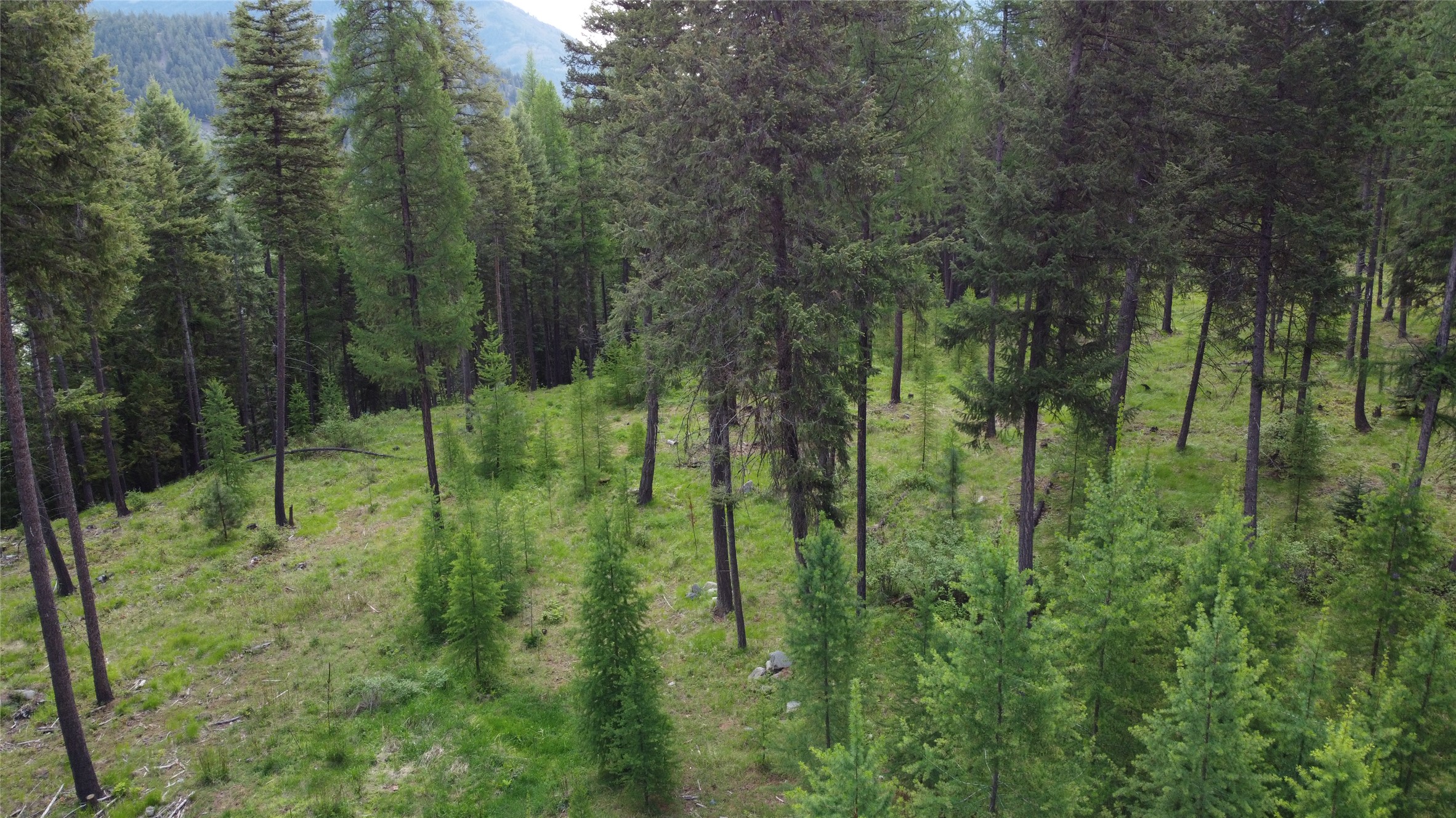 Parcel A Kootenai Drive Property Photo 34