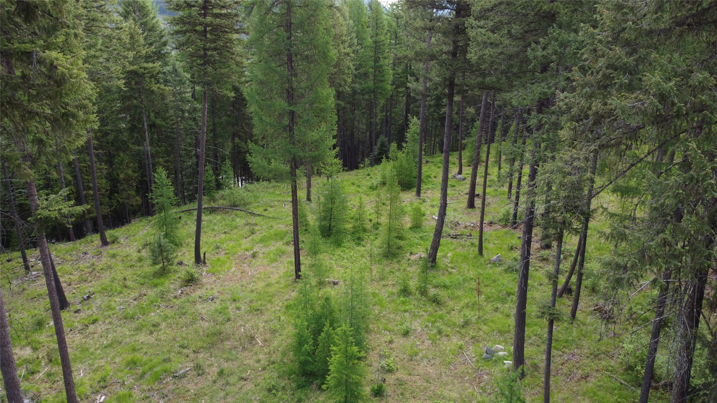 Parcel A Kootenai Drive Property Photo 36