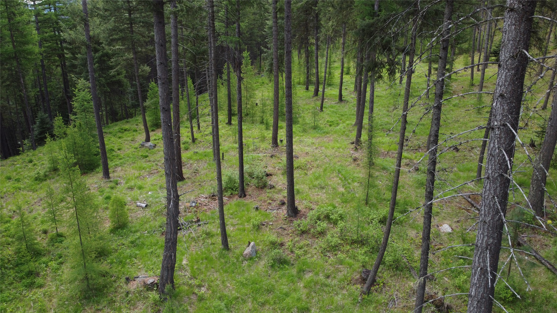 Parcel A Kootenai Drive Property Photo 37