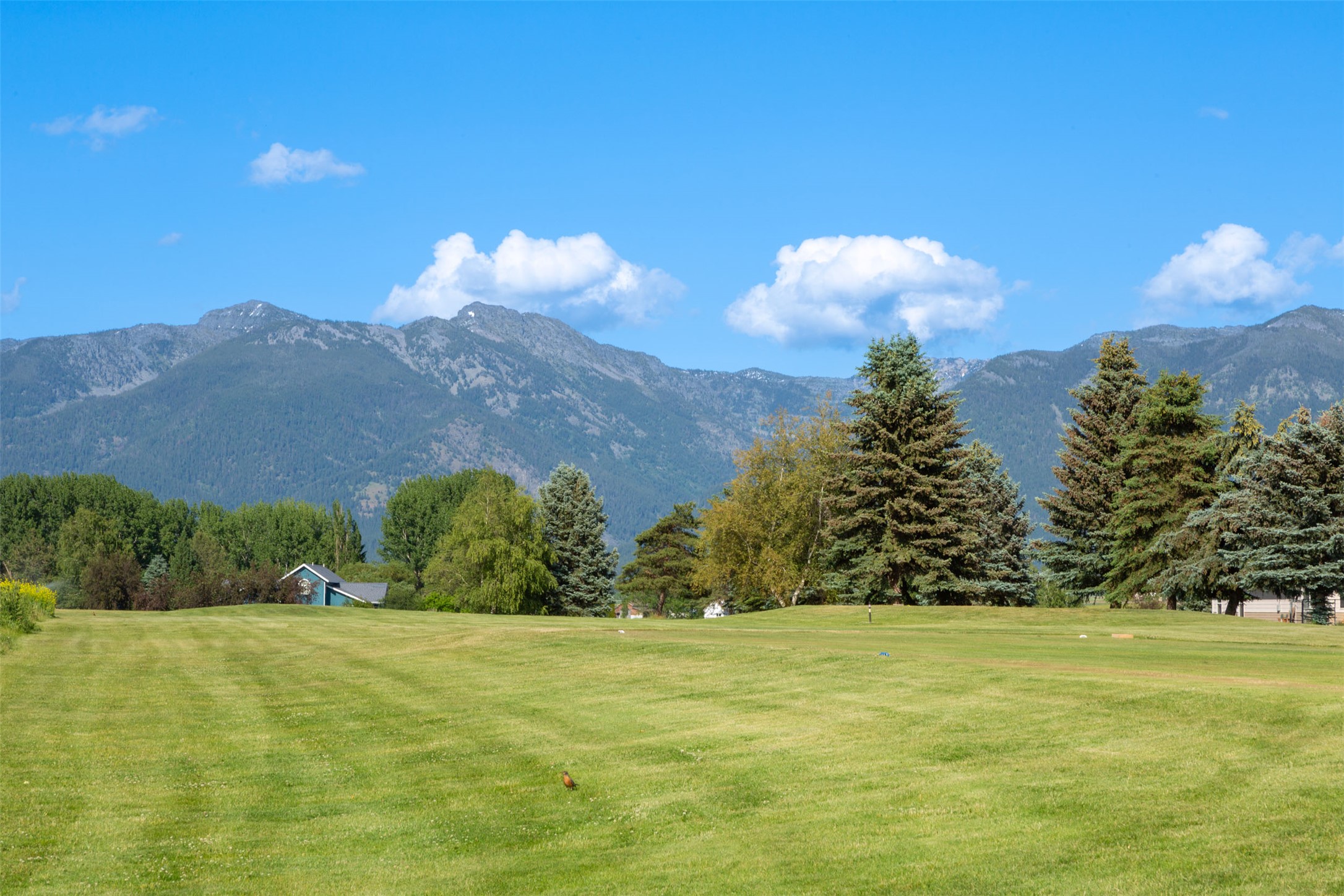 46452 Stagecoach Trail Property Photo 47