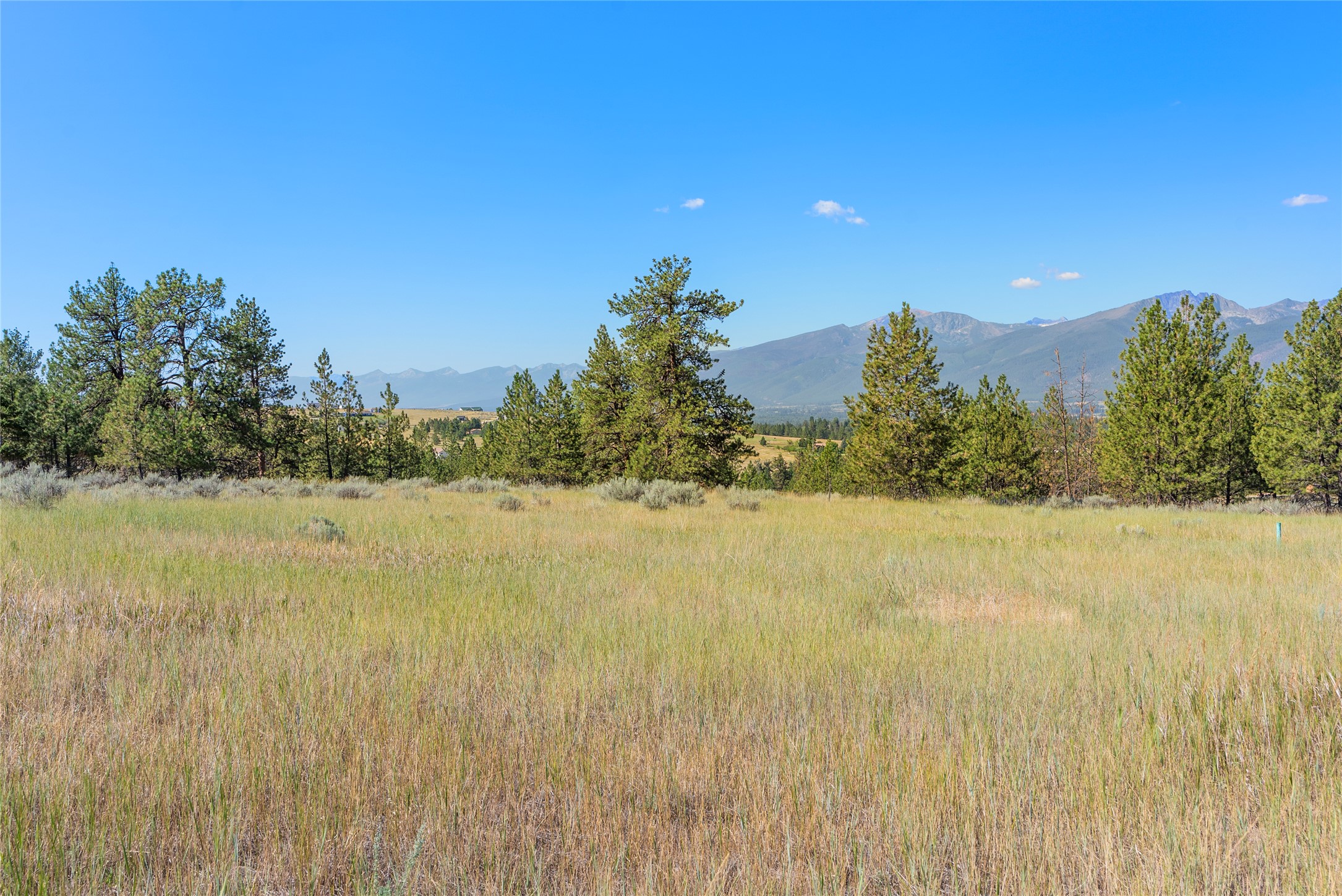 842 Sandhill Loop Property Photo 1