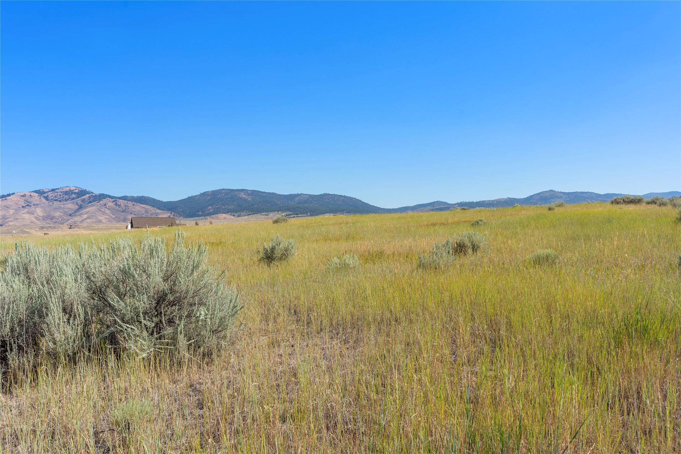 842 Sandhill Loop Property Photo 3