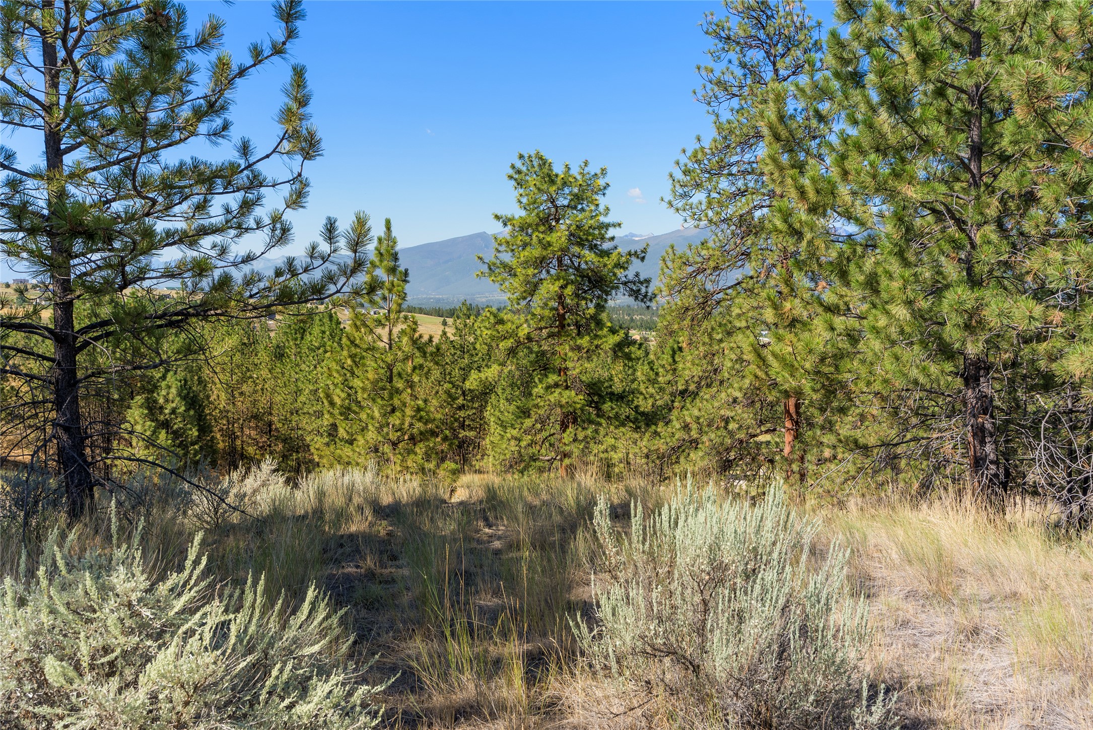 842 Sandhill Loop Property Photo 22