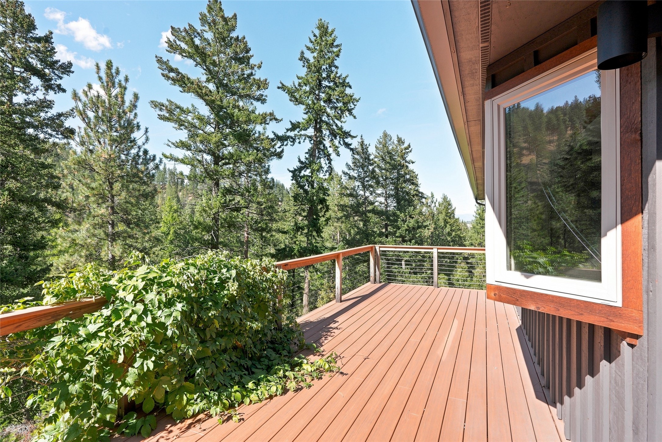 14605 Mormon Creek Road Property Photo 50