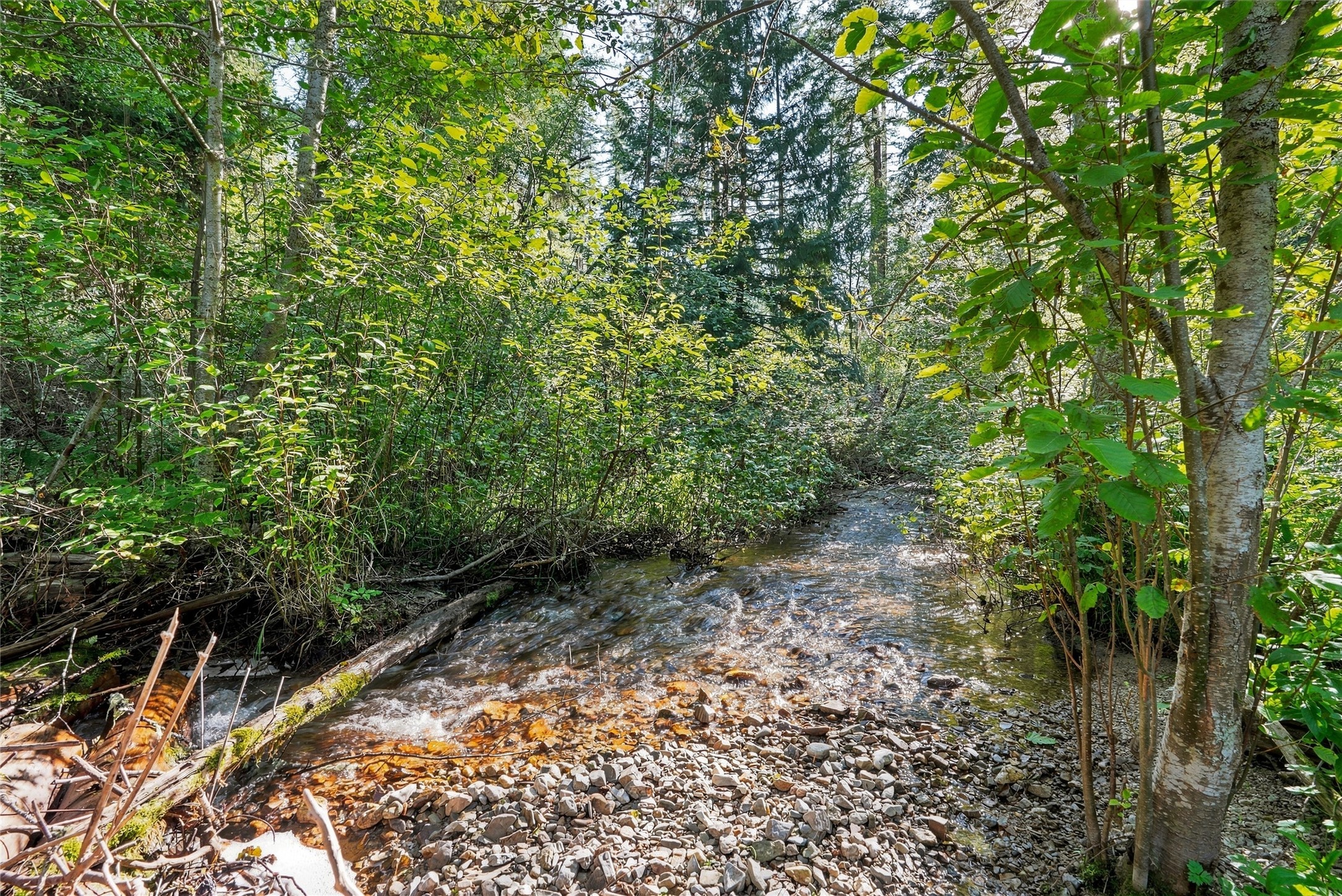 14605 Mormon Creek Road Property Photo 60