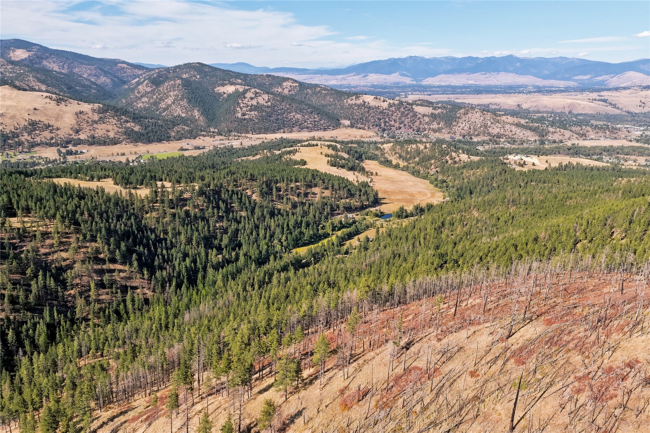 14605 Mormon Creek Road Property Photo 67
