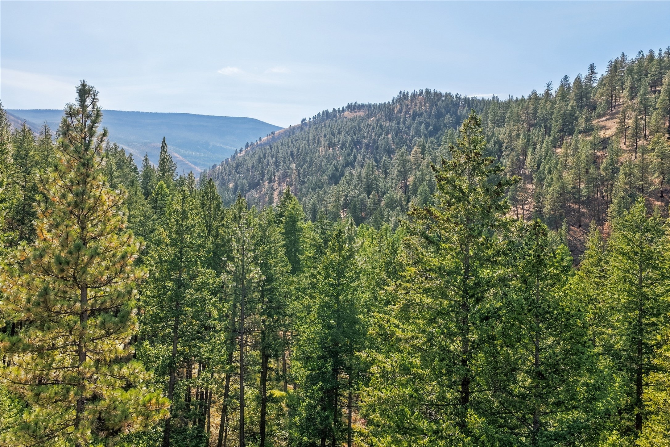 14605 Mormon Creek Road Property Photo 68