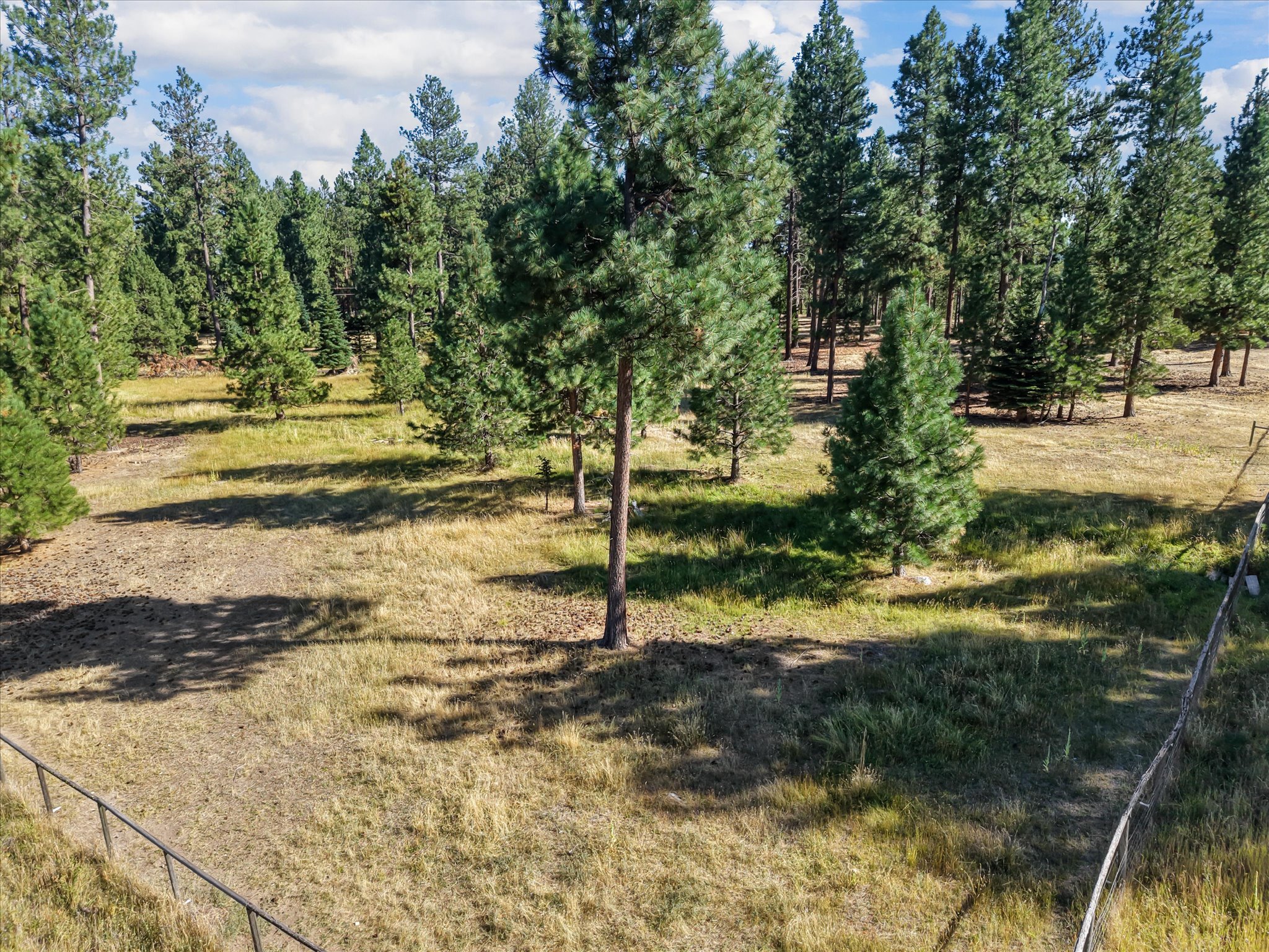 821 Fred Burr Road Property Photo 5