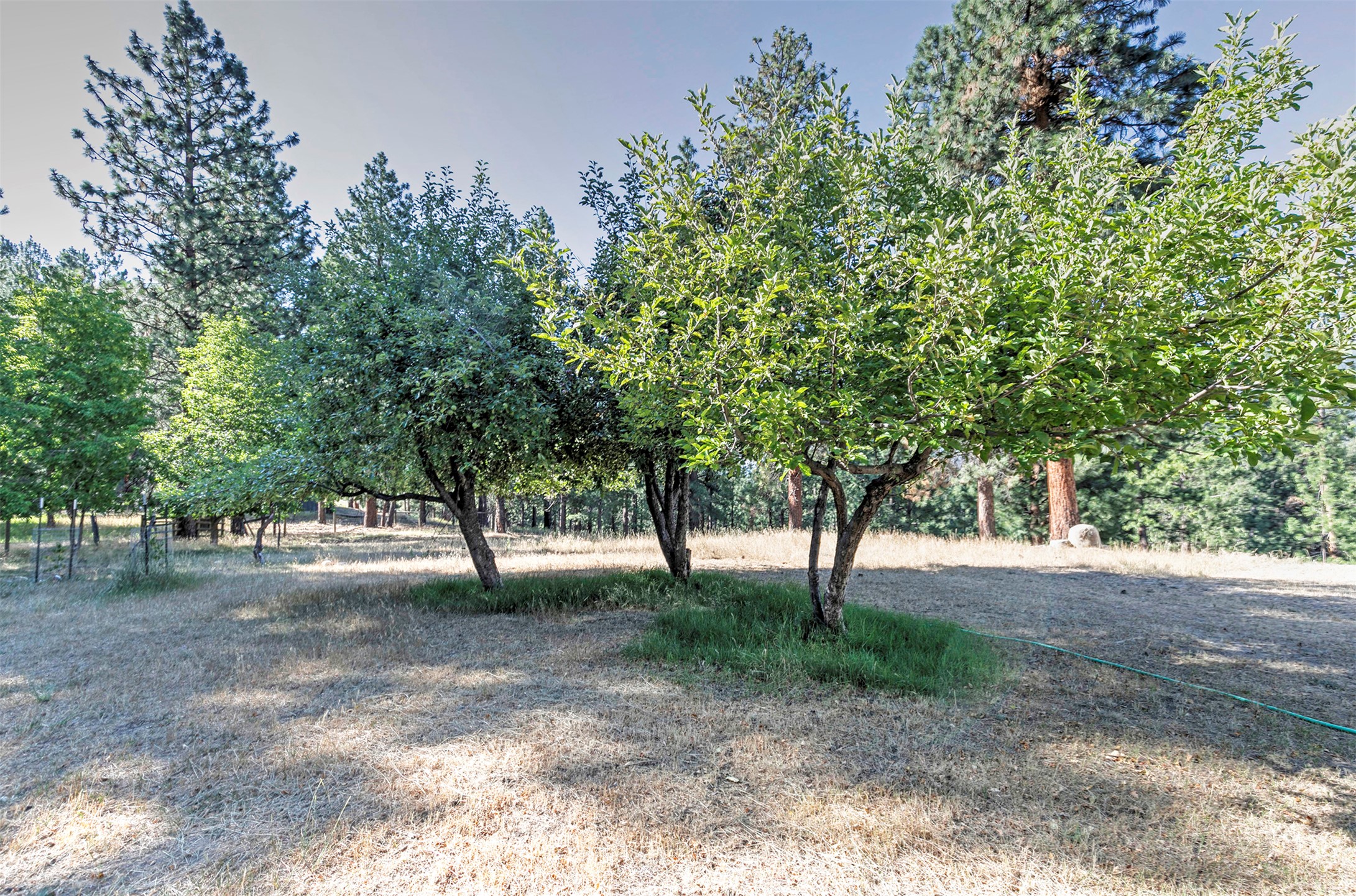 821 Fred Burr Road Property Photo 35