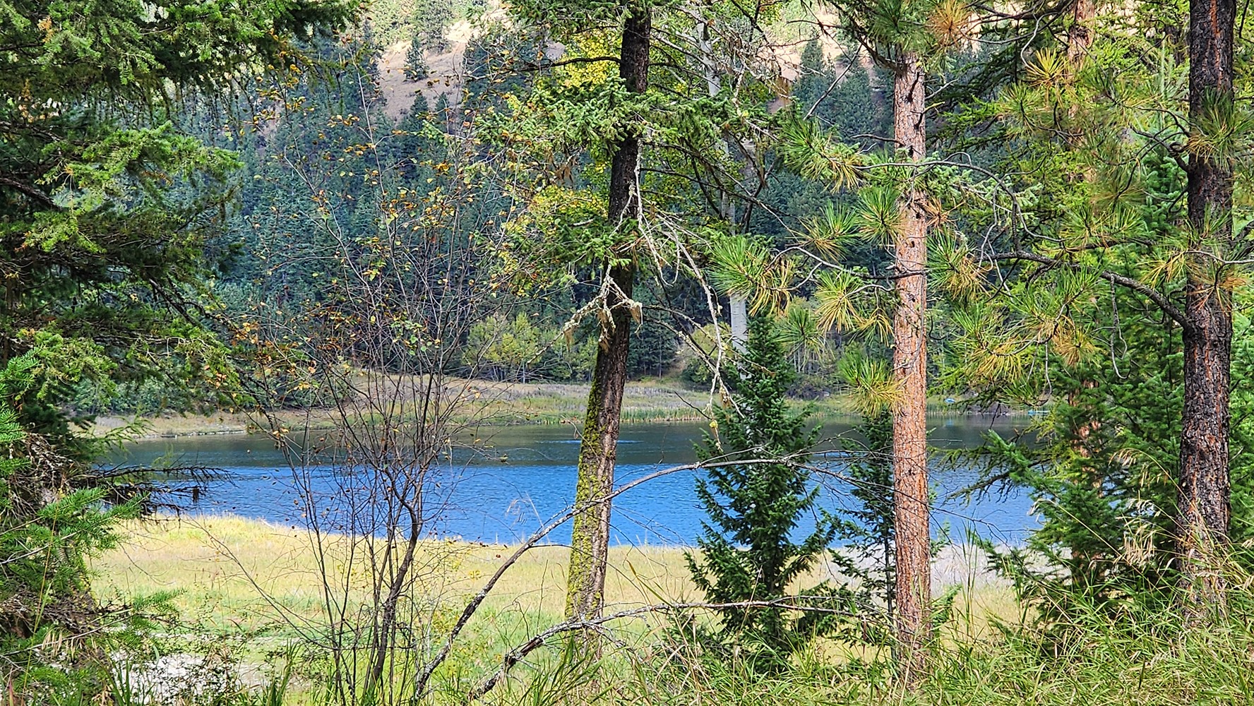43171 Jette Lake Trail Property Photo 56