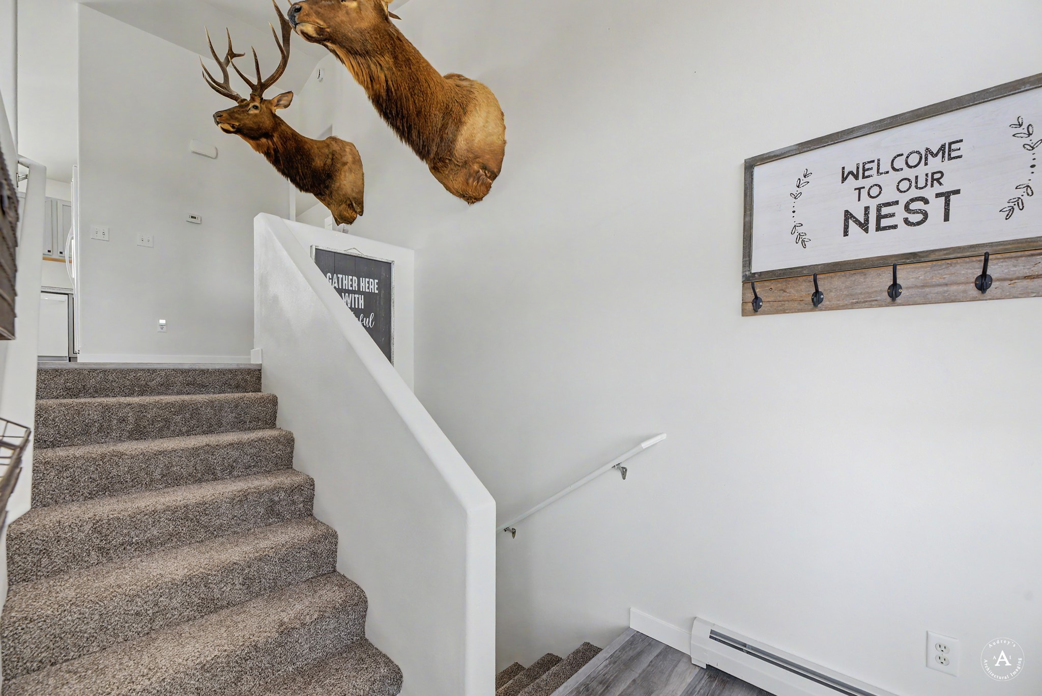 725 Pintail Court Property Photo 3