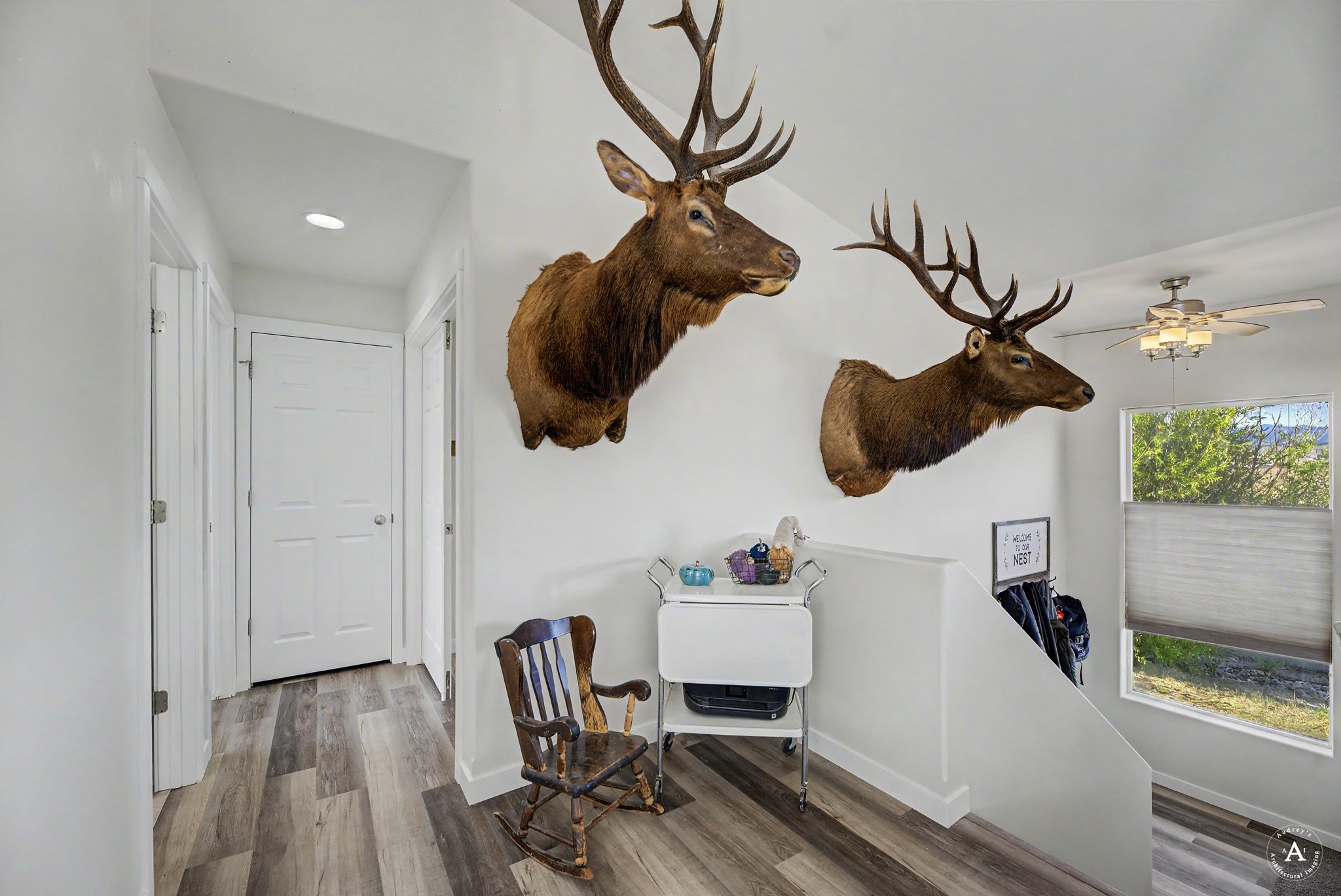 725 Pintail Court Property Photo 14