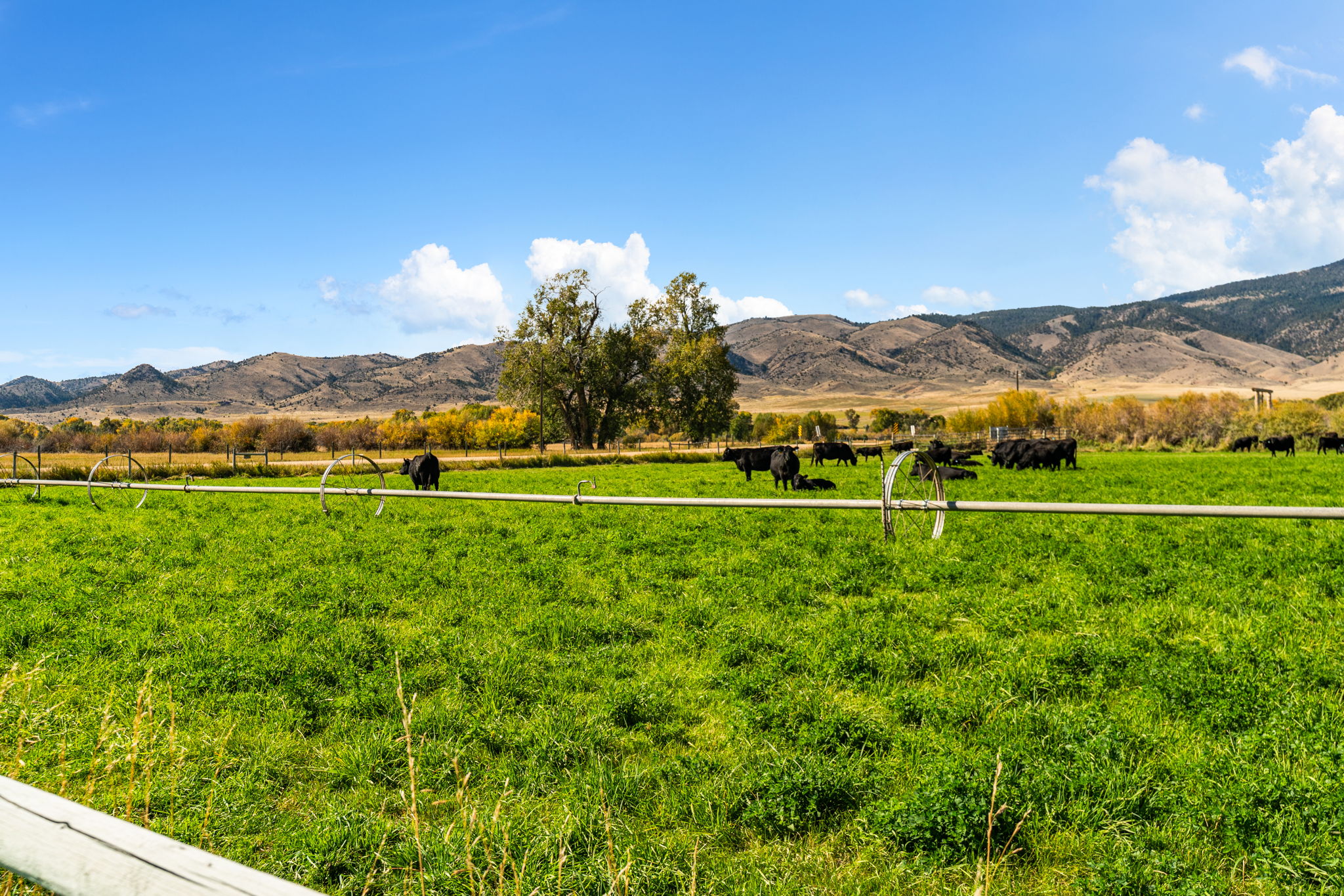 585 Judy Lane Property Photo 44