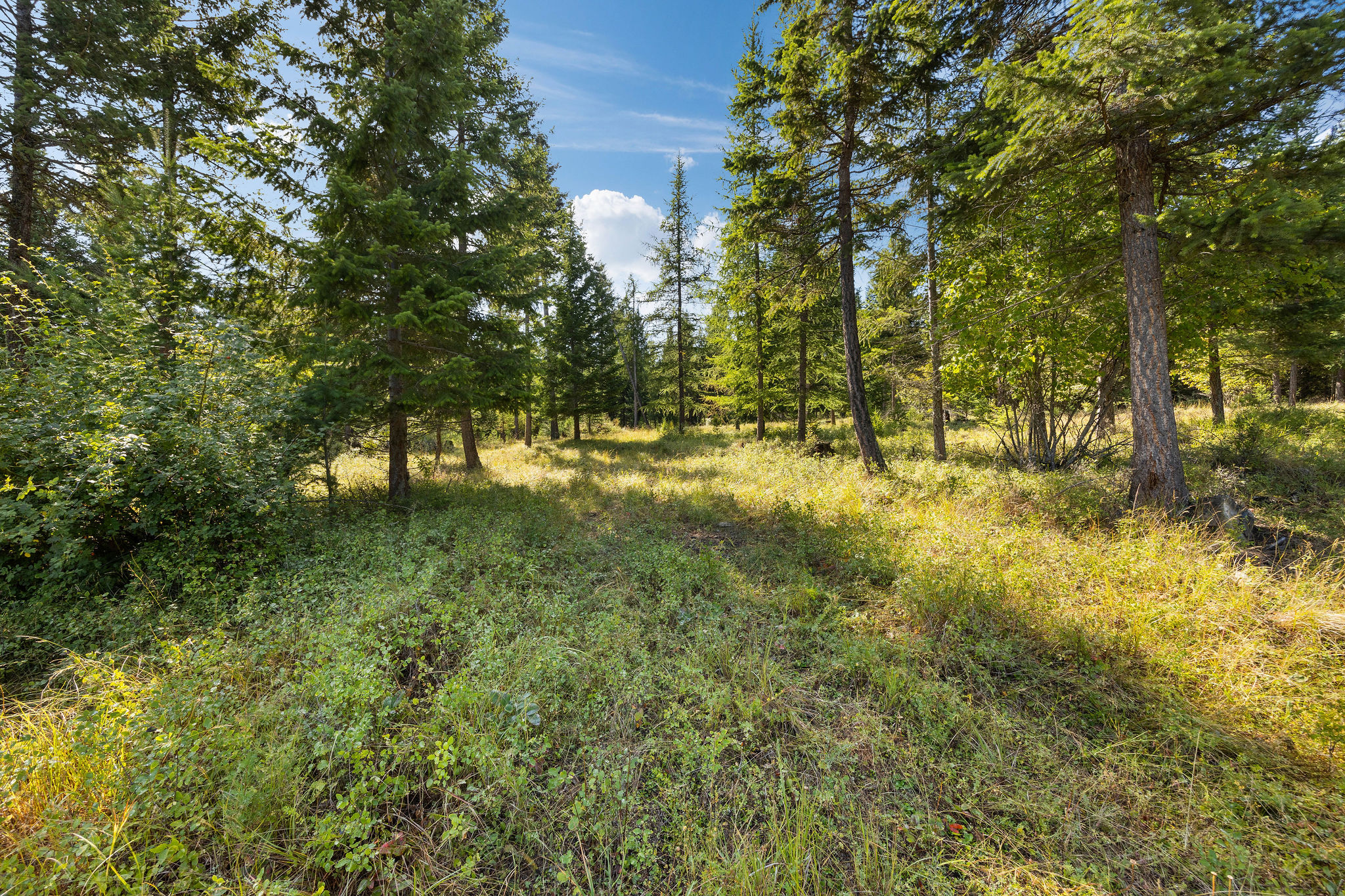 150 Eagles Crest Road Property Photo 7