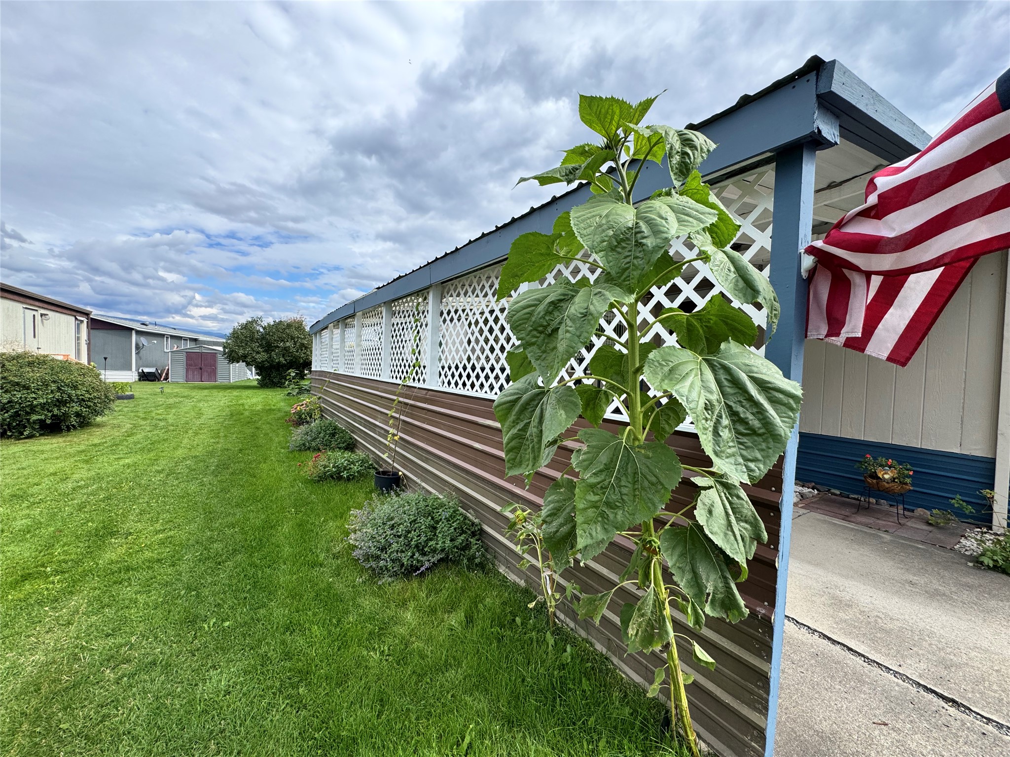1863 Countryside Court Property Photo 4