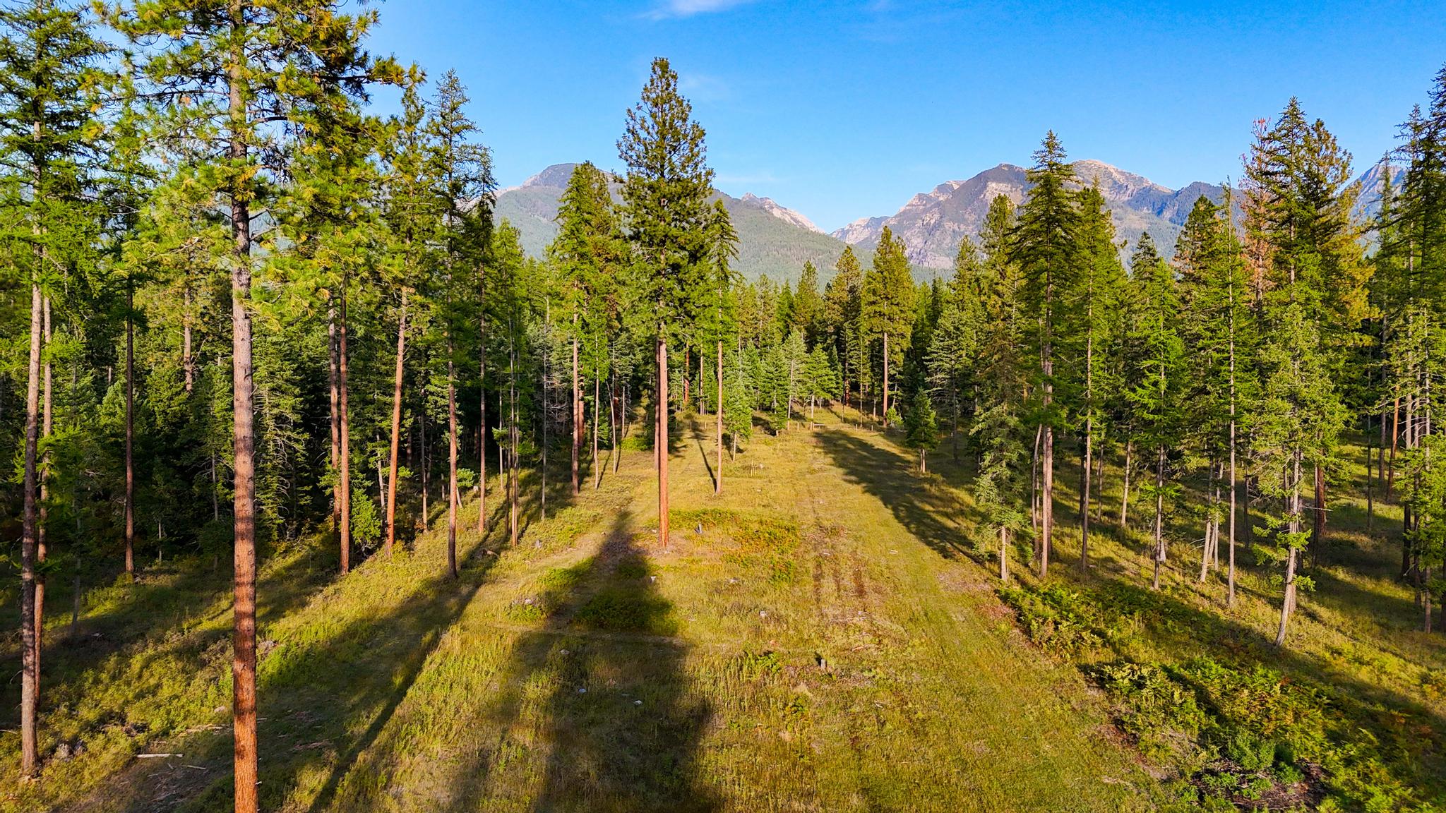 48220 Middle Creek Trail Property Photo 2