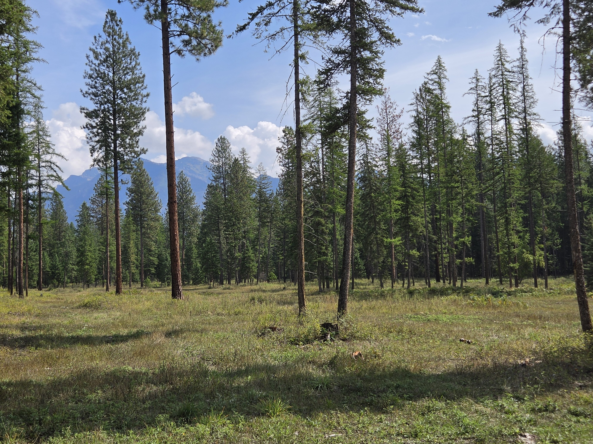 48220 Middle Creek Trail Property Photo 5