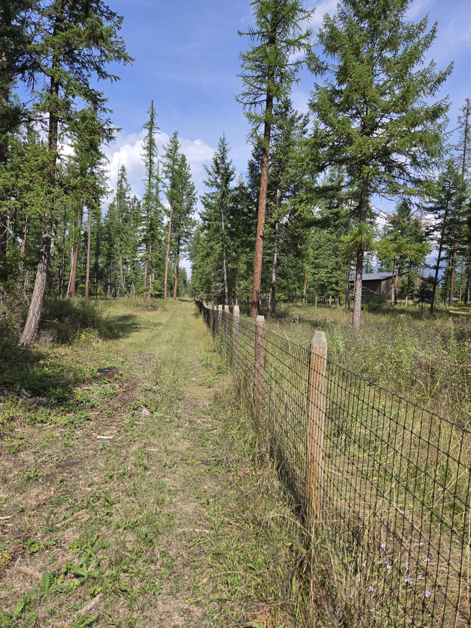 48220 Middle Creek Trail Property Photo 6