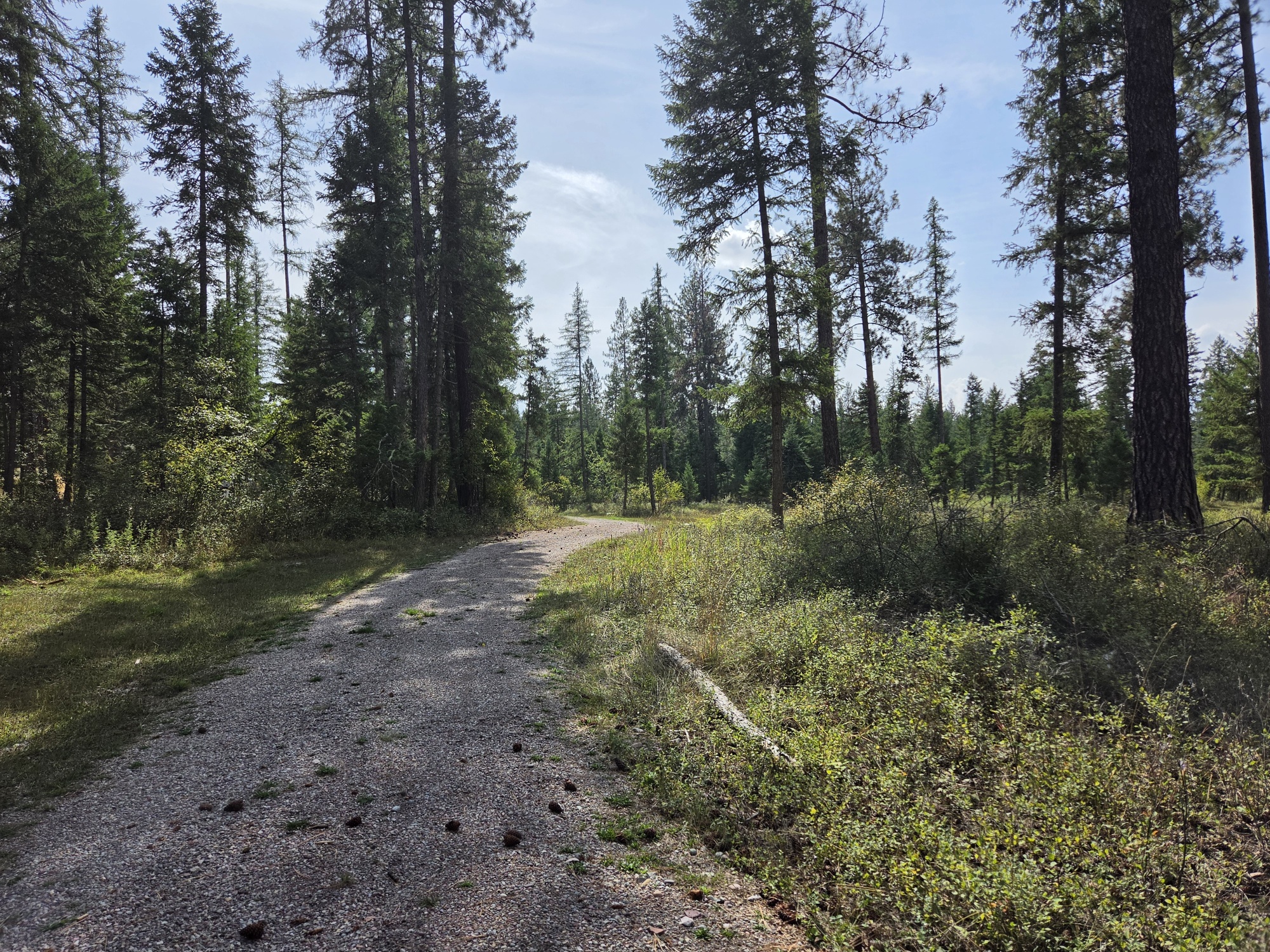 48220 Middle Creek Trail Property Photo 11