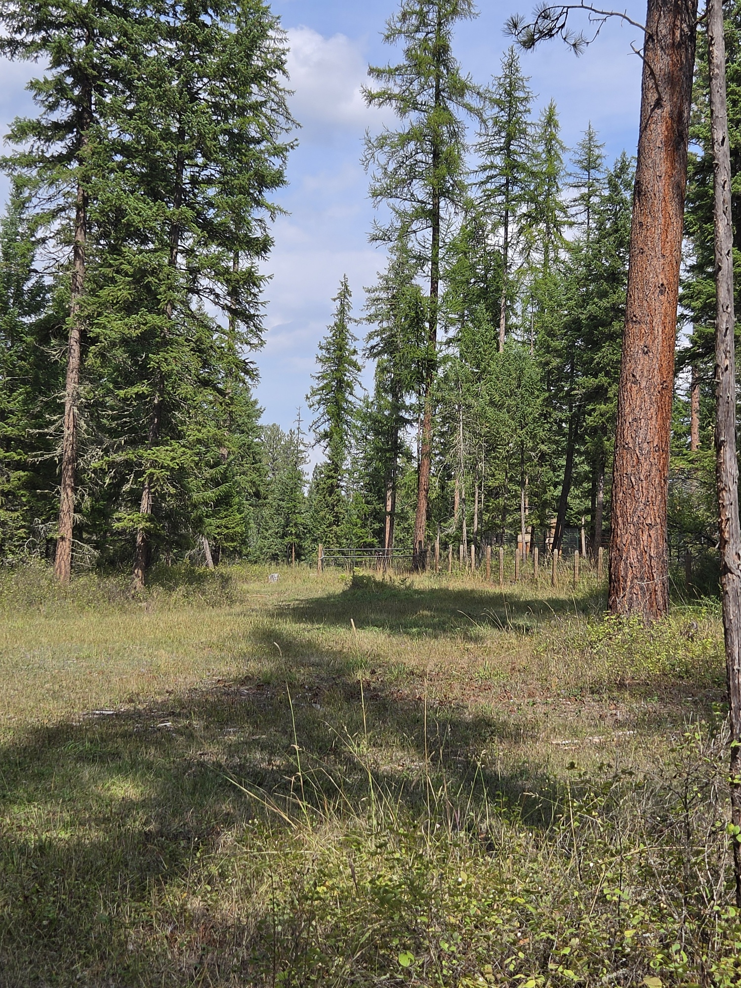 48220 Middle Creek Trail Property Photo 12
