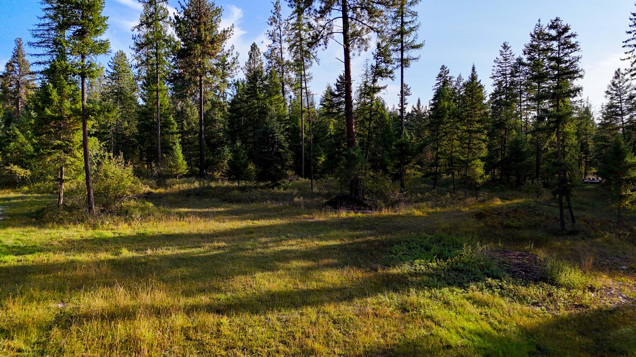 48220 Middle Creek Trail Property Photo 13