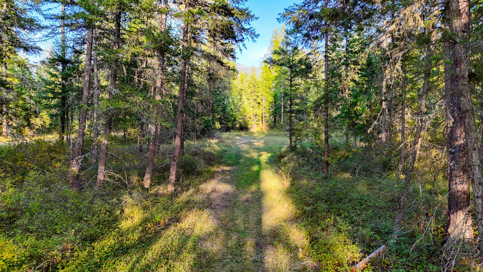 48220 Middle Creek Trail Property Photo 24
