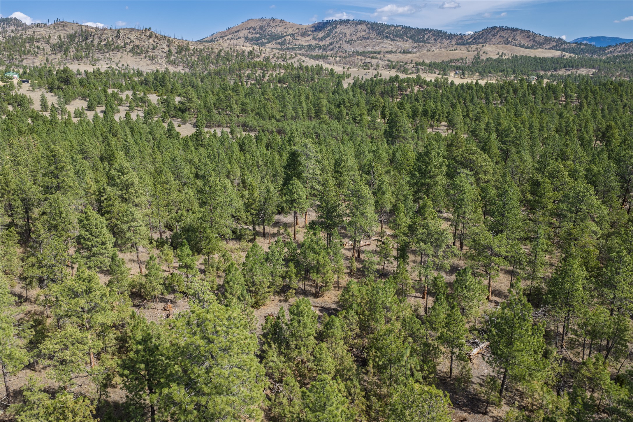 2570 Snowdrift Road Property Photo 3
