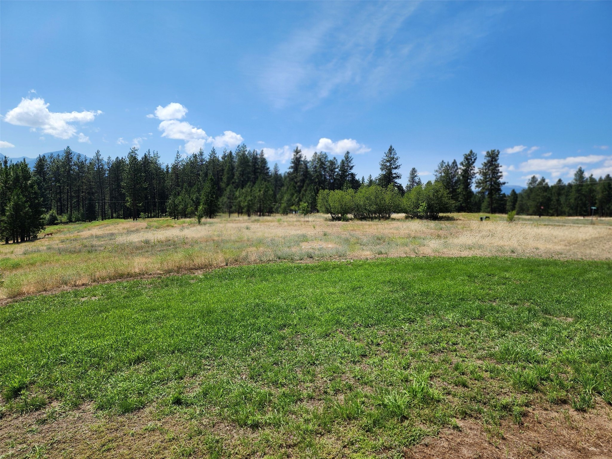 562 Mack Road Property Photo 26
