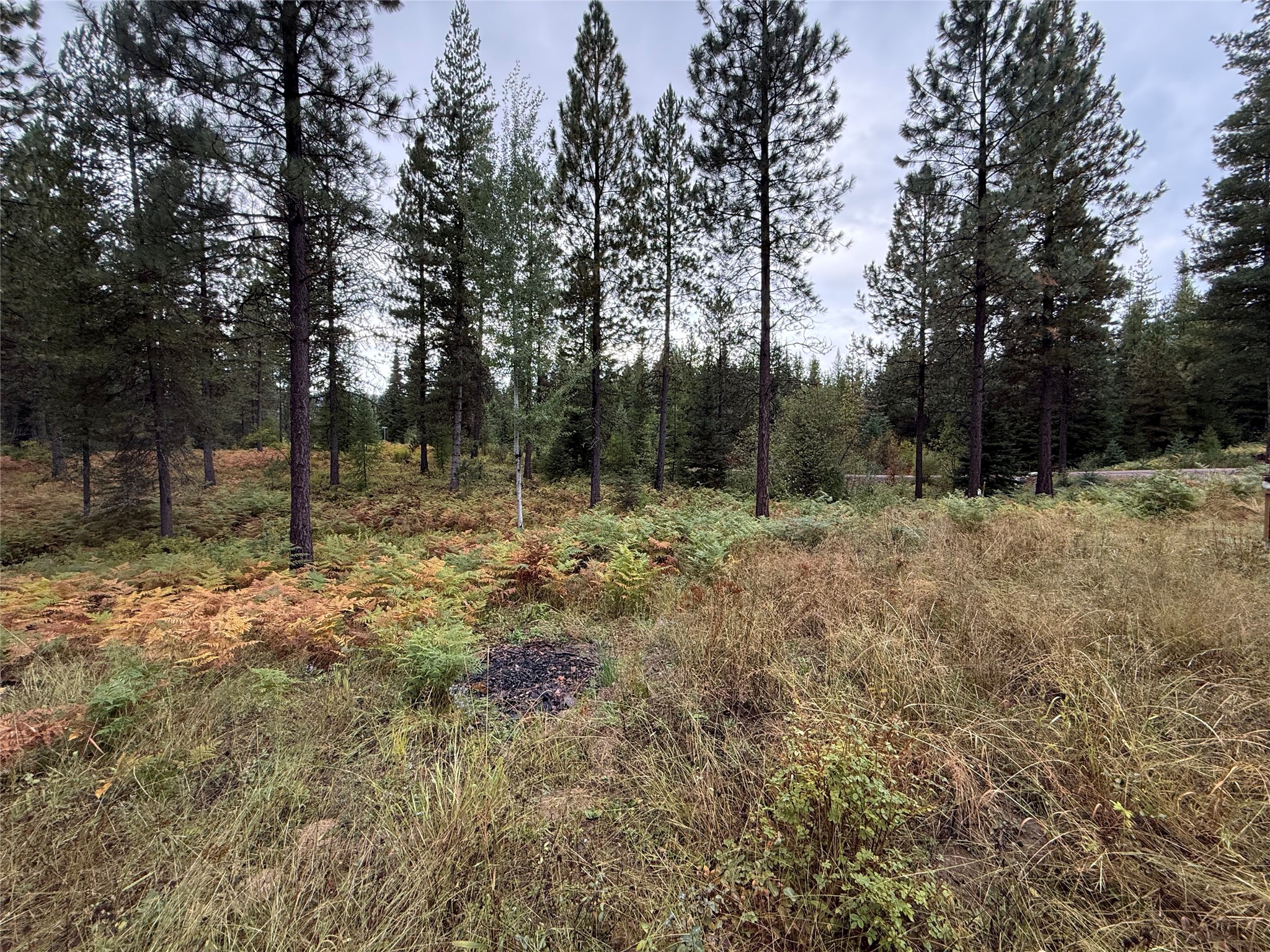 43 Shoshone Trail Property Photo 7