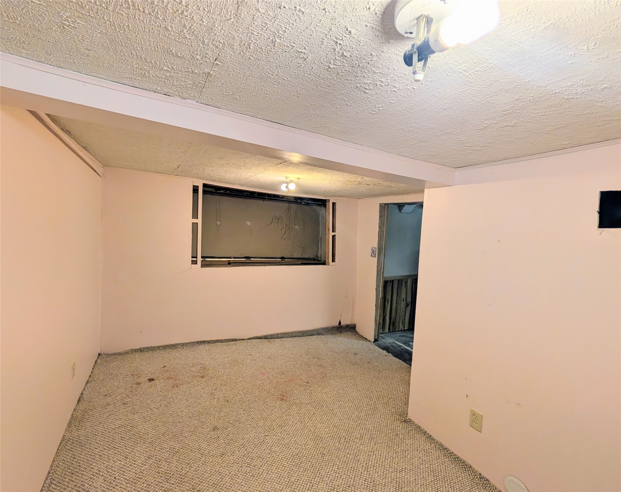 1512 6th Avenue N Property Photo 20