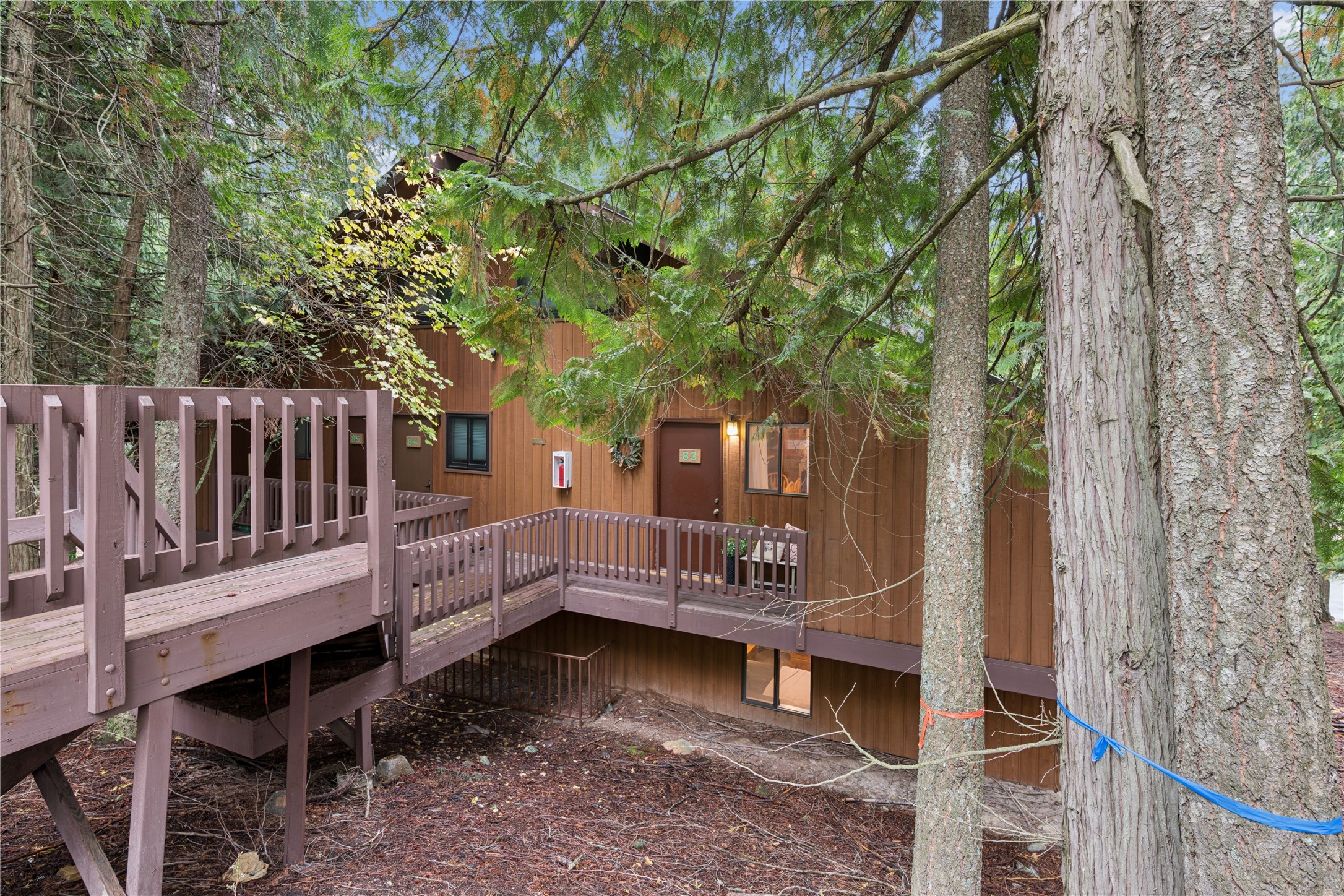 83 Limber Pine Property Photo 3