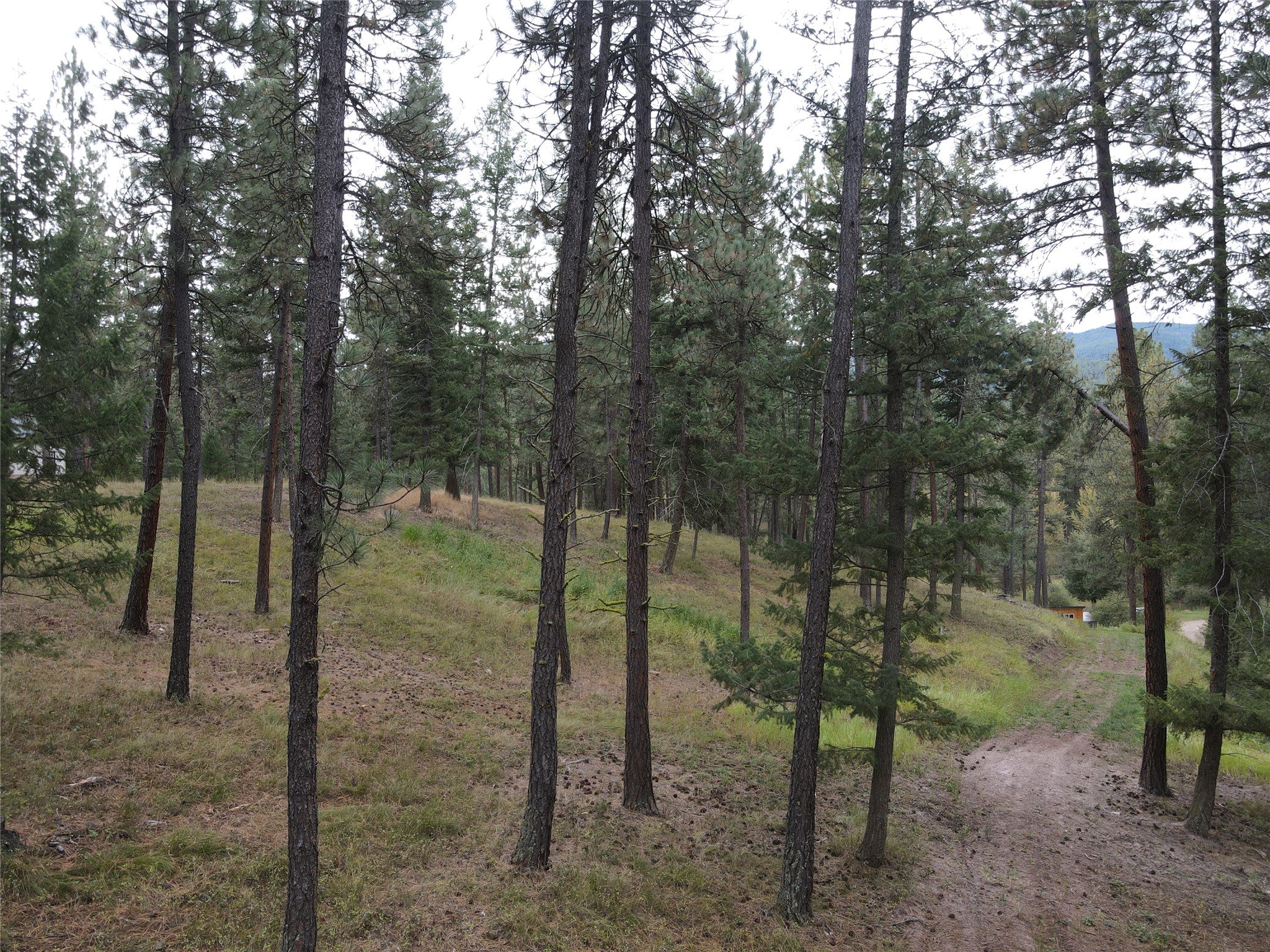 21481 Nine Mile Road Property Photo 2