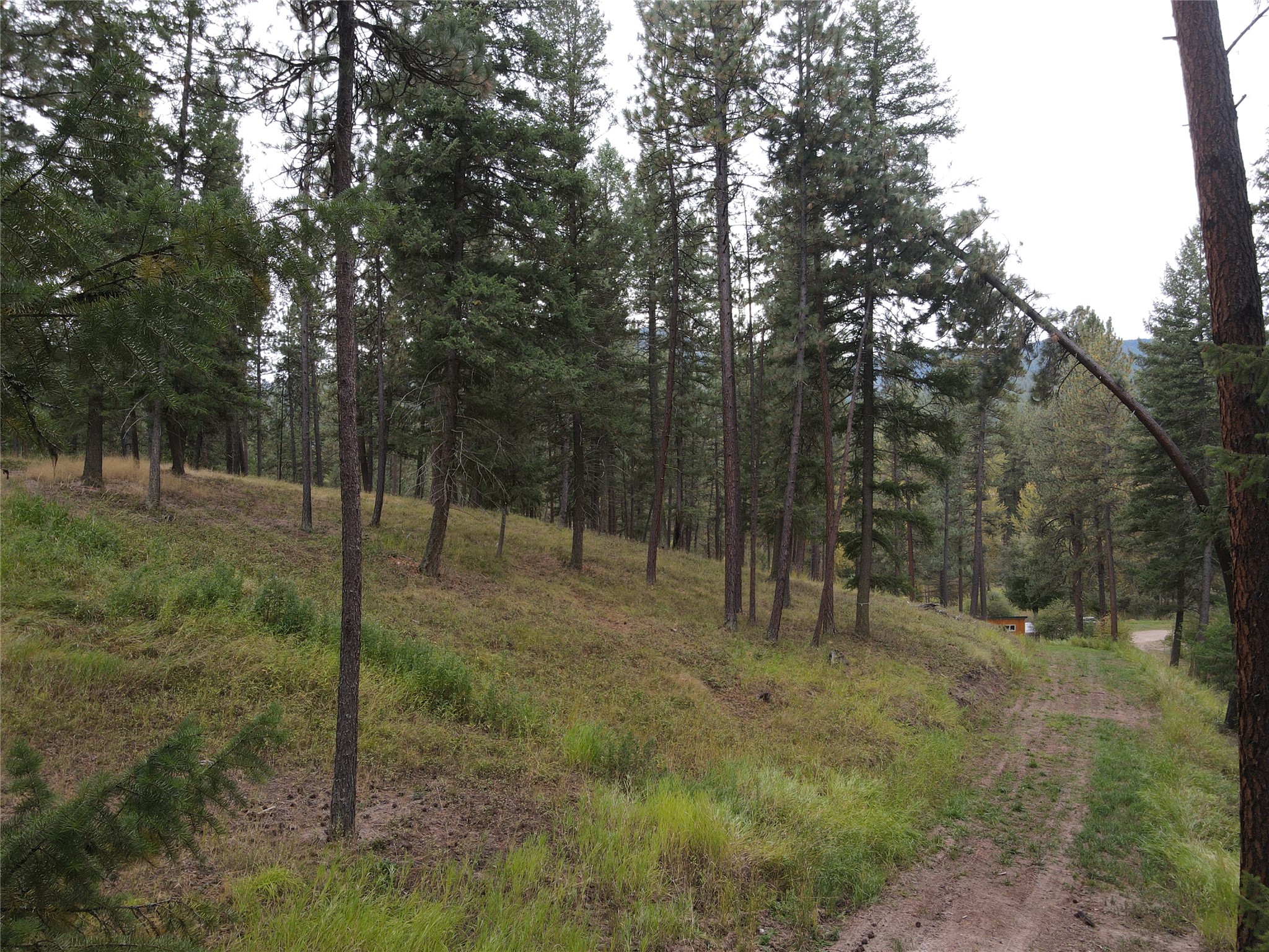 21481 Nine Mile Road Property Photo 3