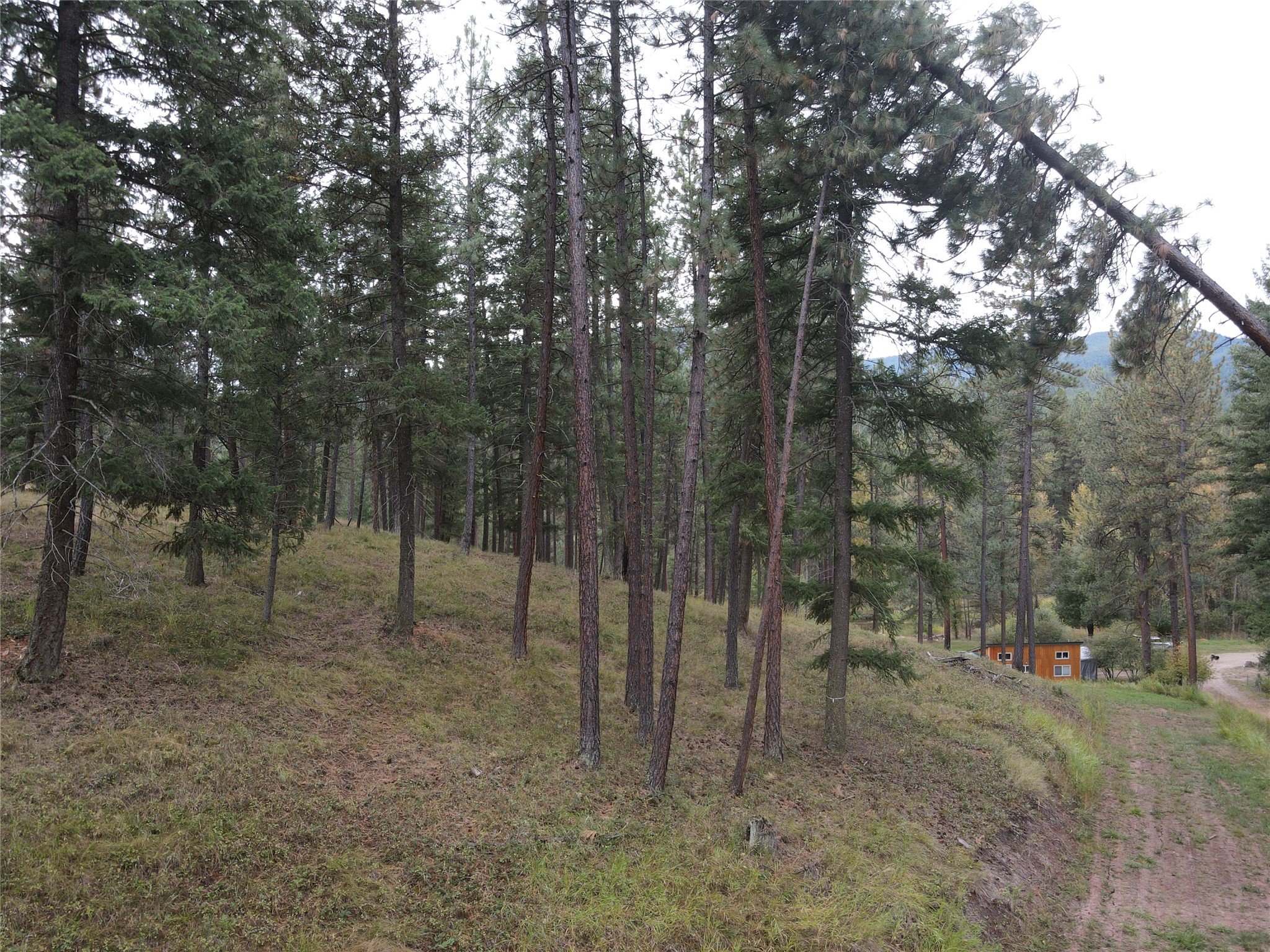 21481 Nine Mile Road Property Photo 4