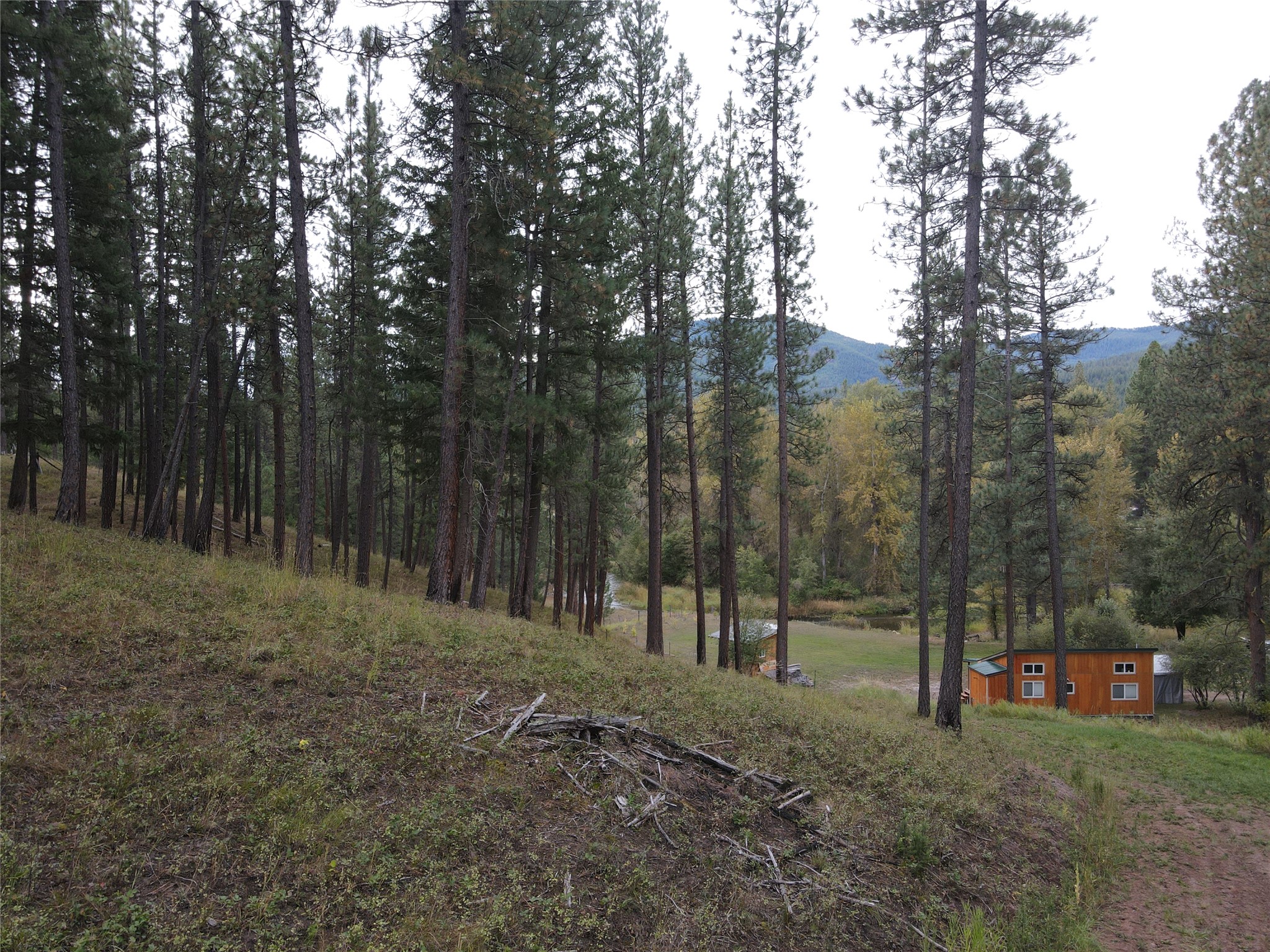 21481 Nine Mile Road Property Photo 5