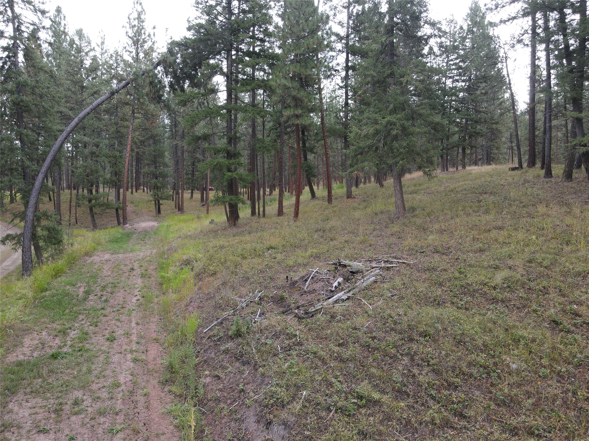 21481 Nine Mile Road Property Photo 20