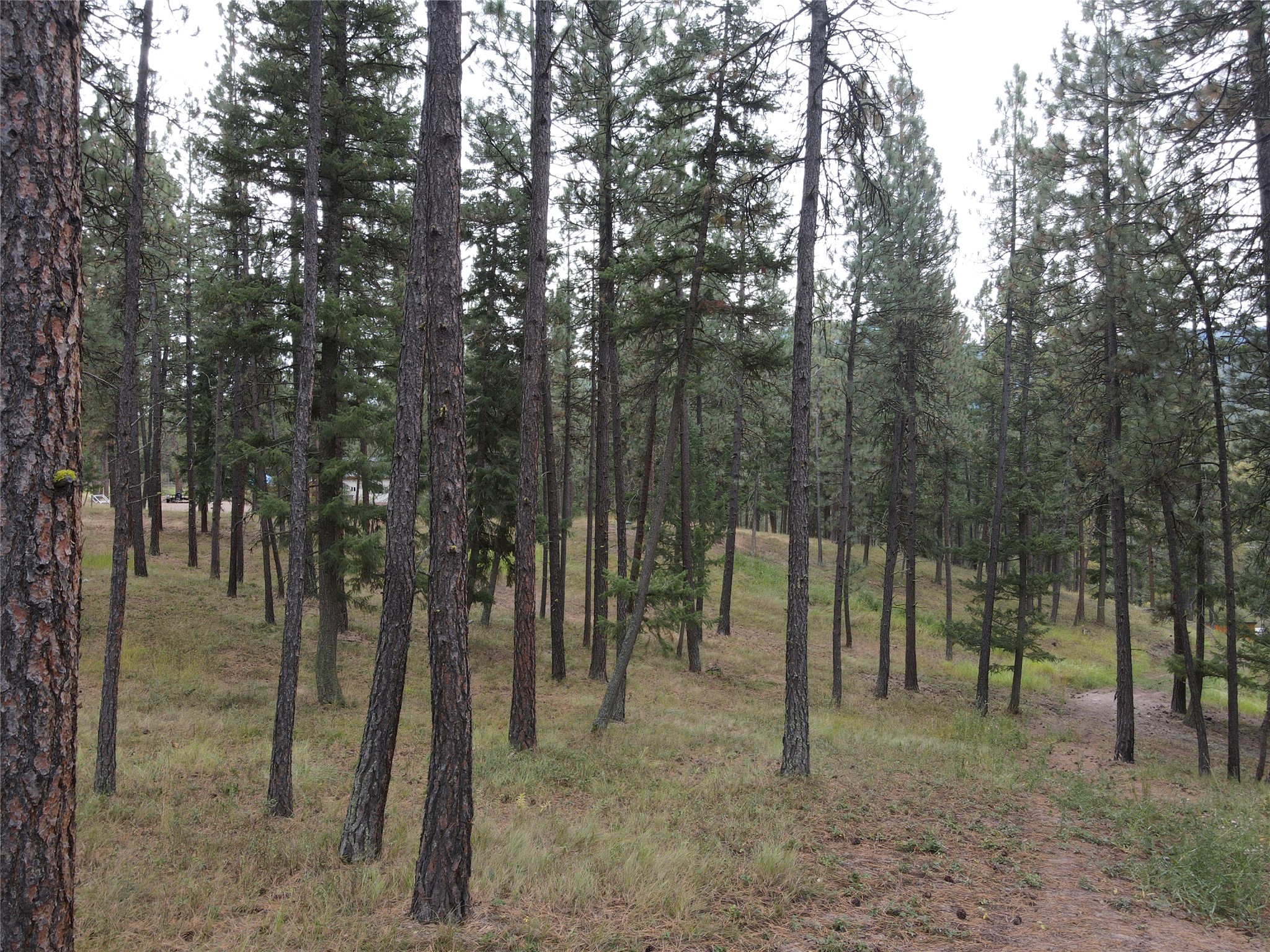 21481 Nine Mile Road Property Photo 22