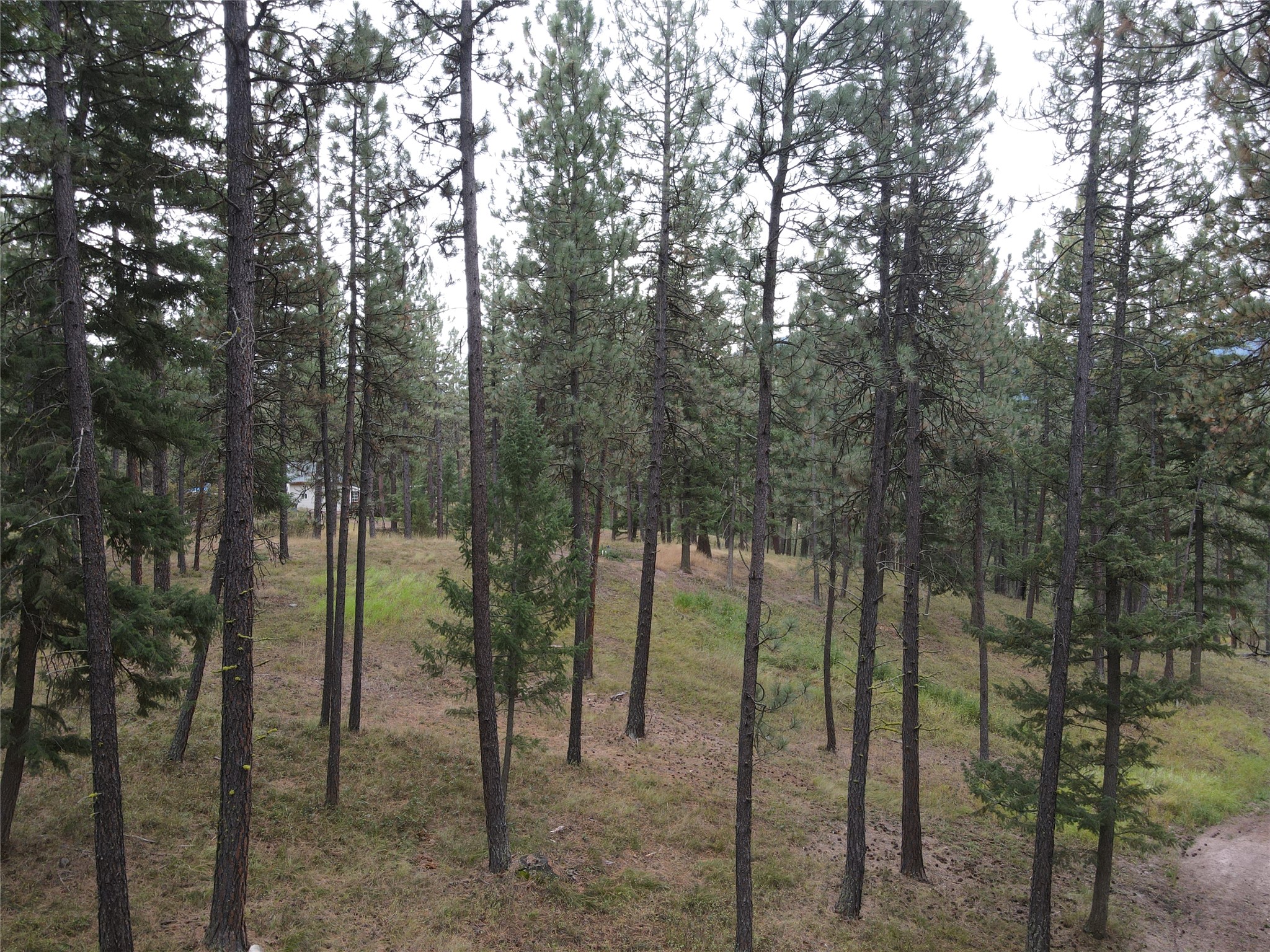 21481 Nine Mile Road Property Photo 23